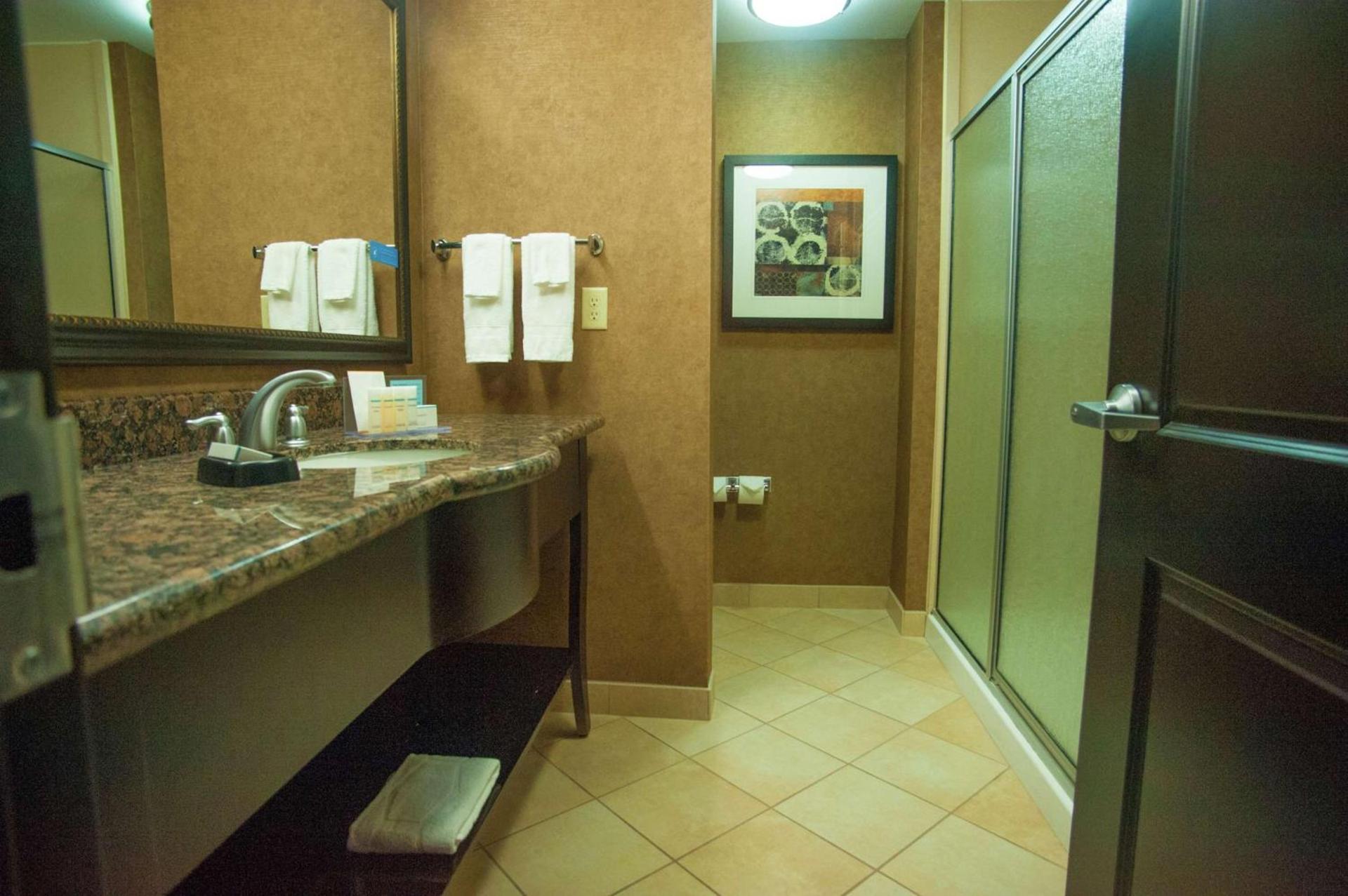 Hampton Inn & Suites Palestine photo 12