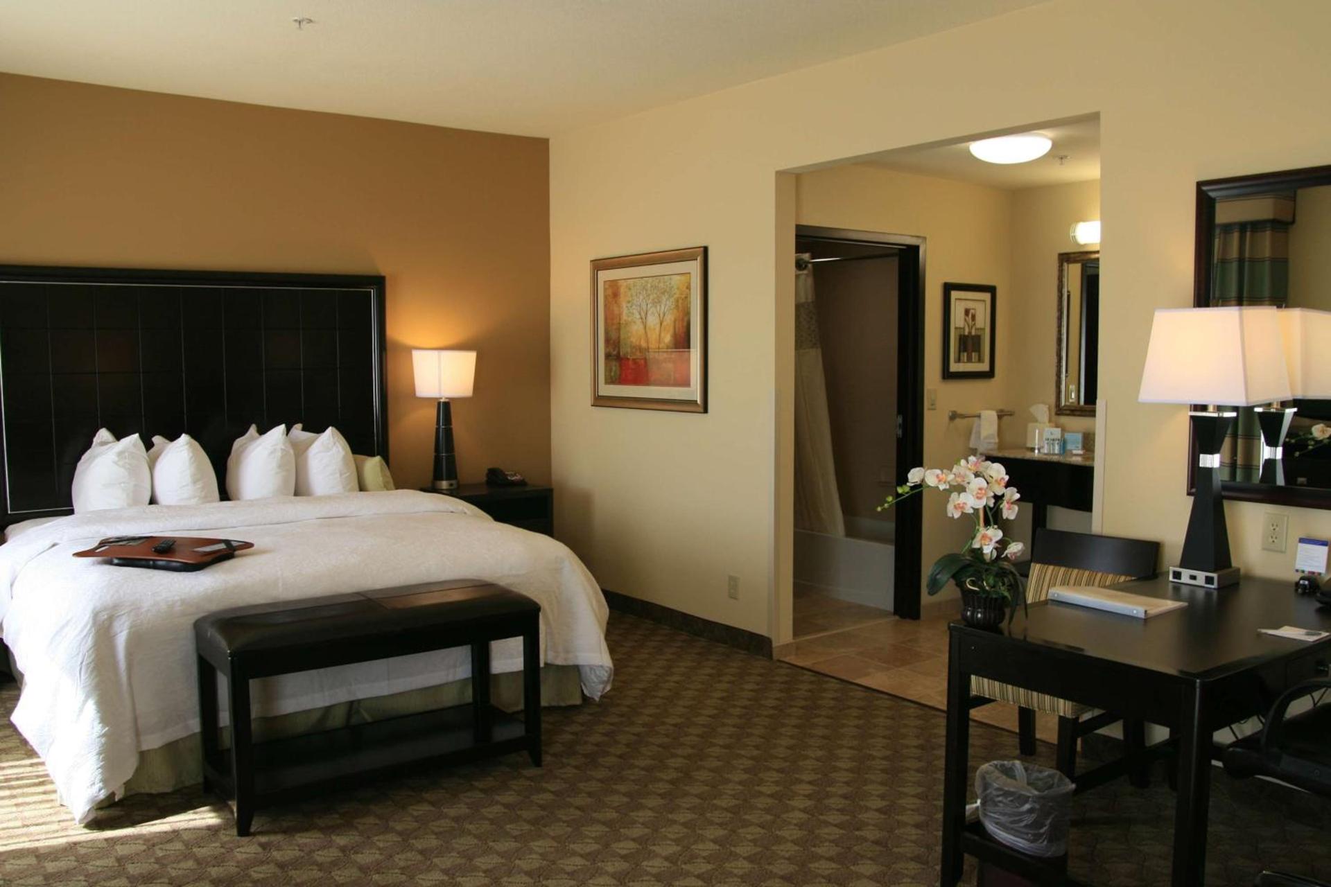 Hampton Inn & Suites McAlester photo 14