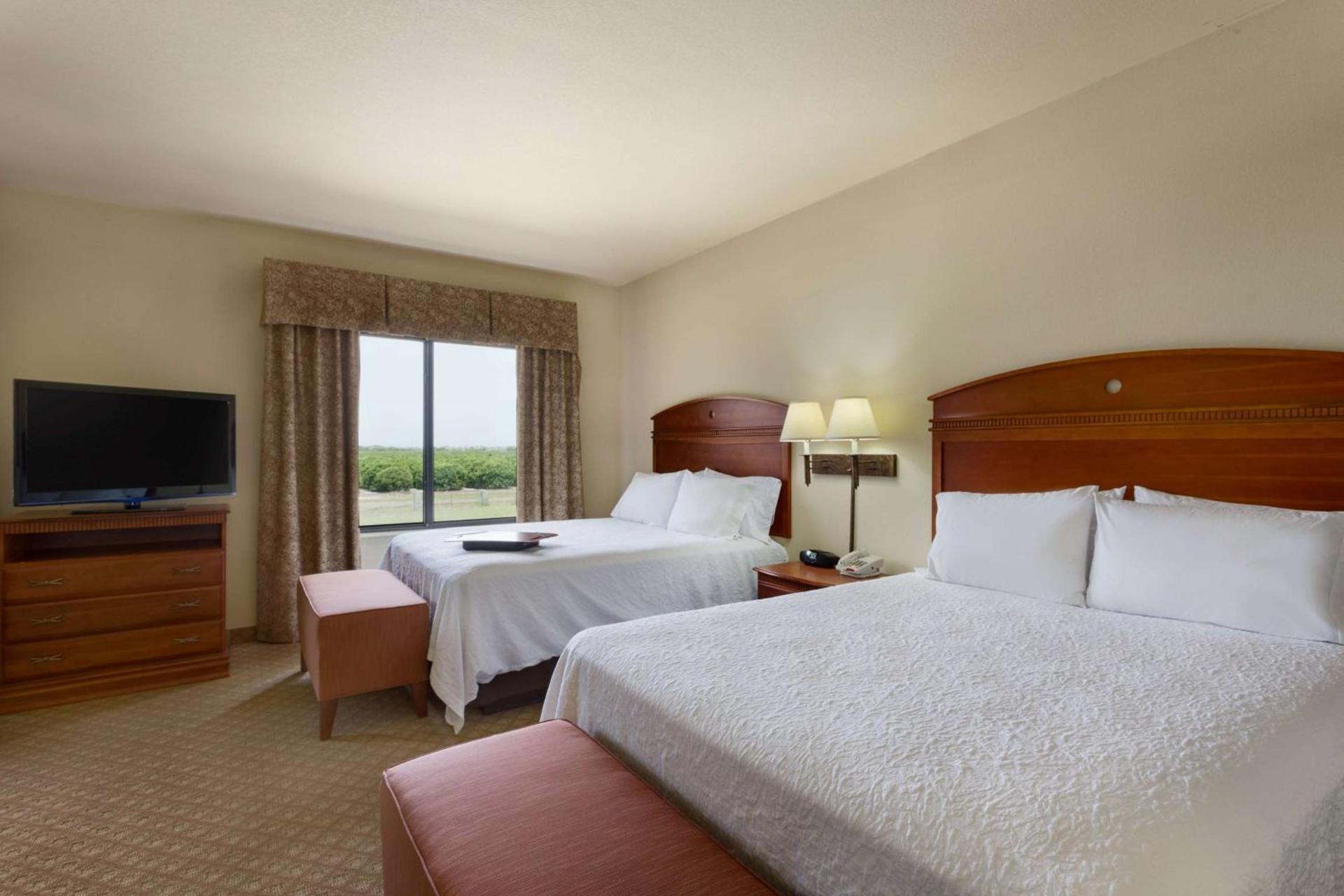 Hampton Inn & Suites Pharr photo 11