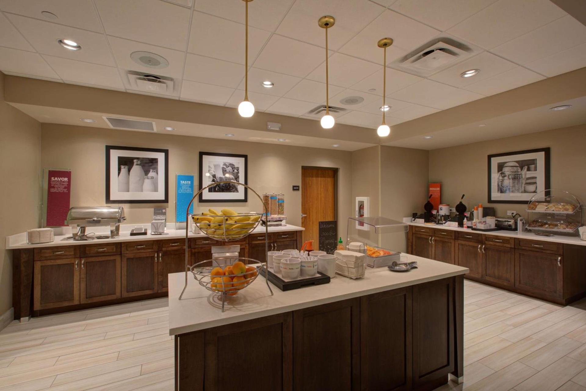 Hampton Inn & Suites by Hilton Tampa Busch Gardens Area photo 9