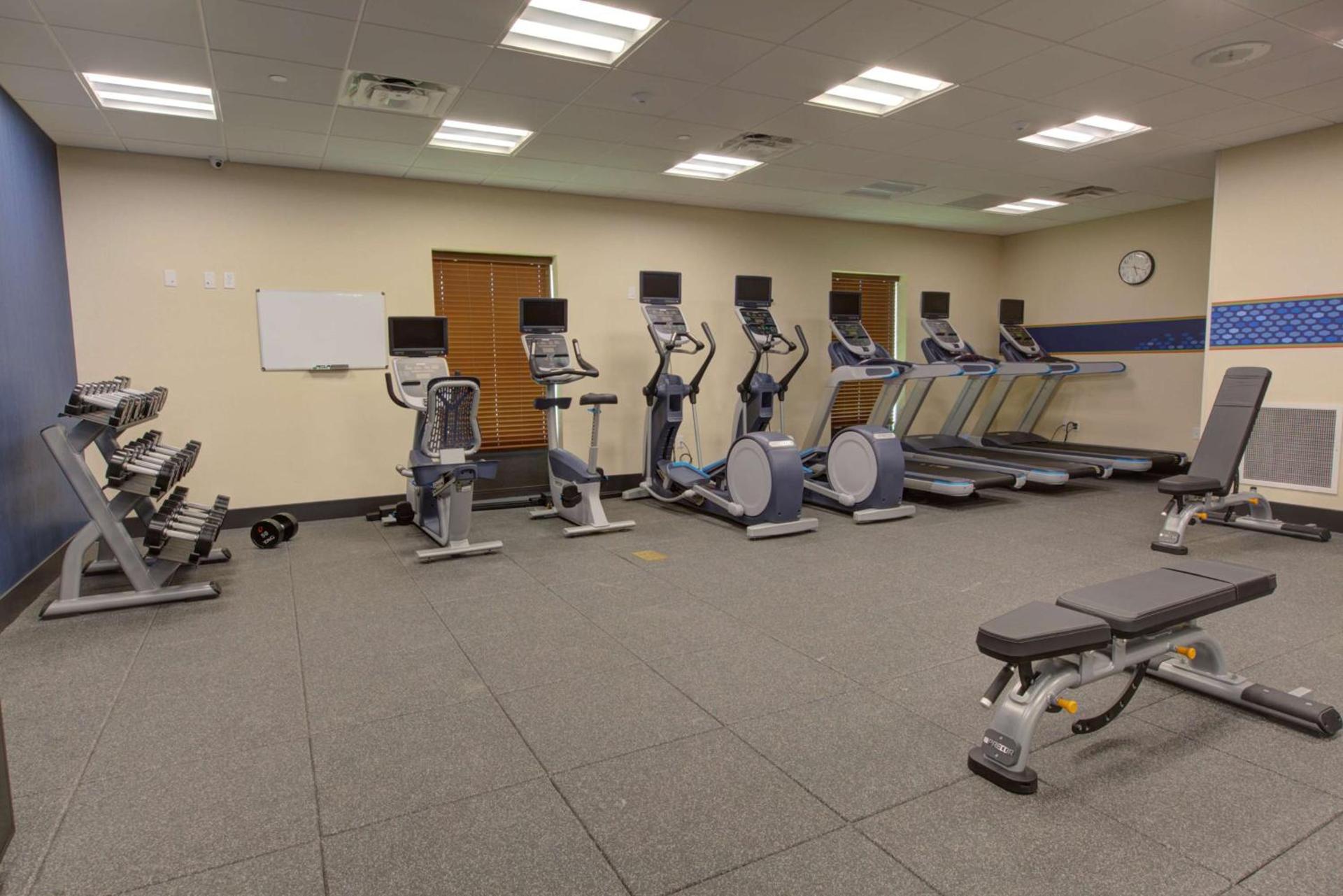 Hampton Inn & Suites by Hilton Tampa Busch Gardens Area photo 11