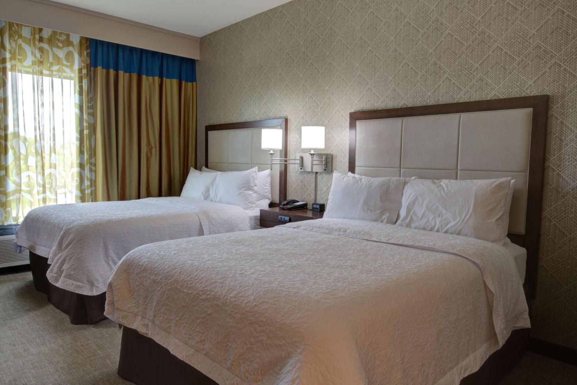 Hampton Inn & Suites by Hilton Tampa Busch Gardens Area photo 14