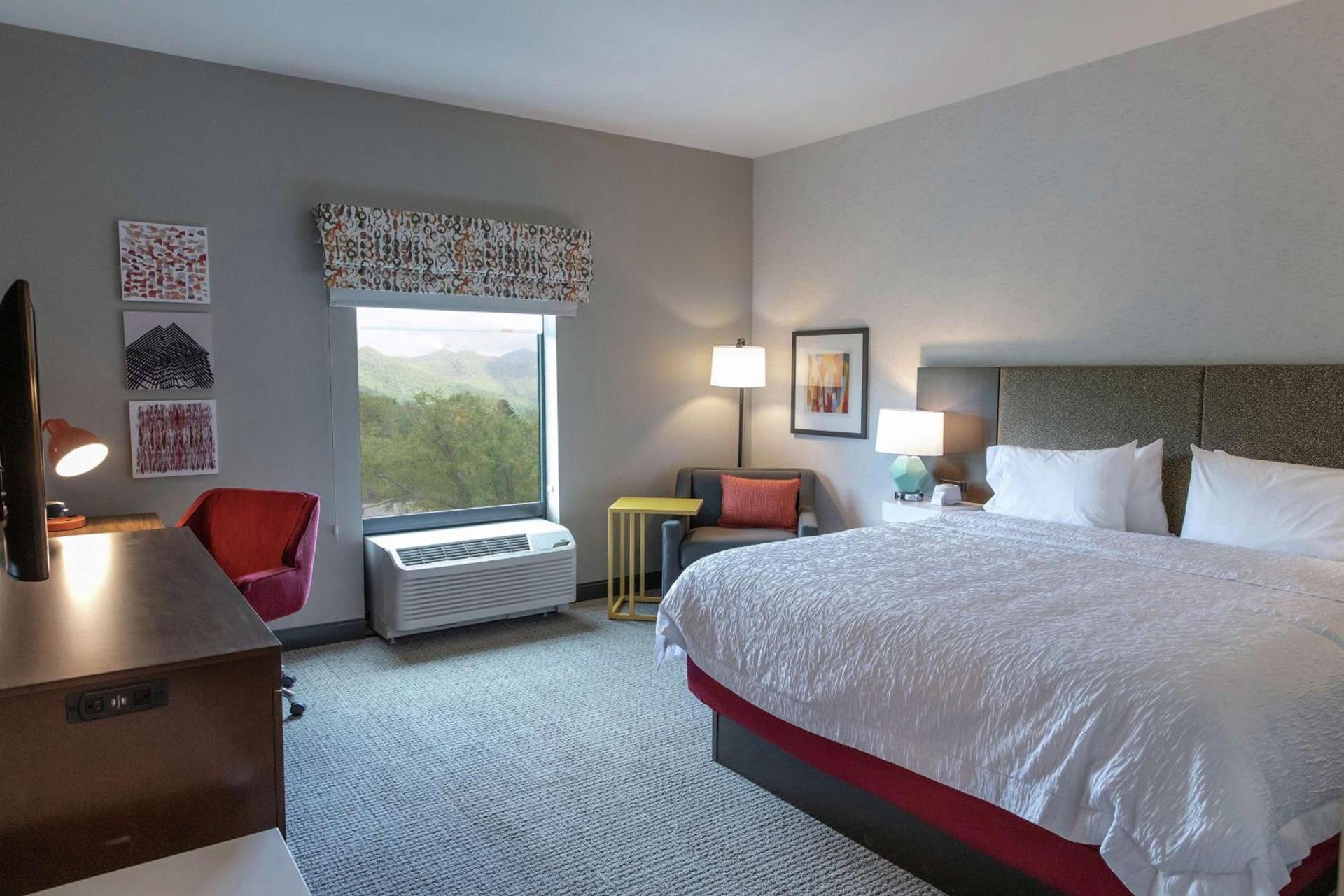 Hampton Inn Black Mountain photo 17