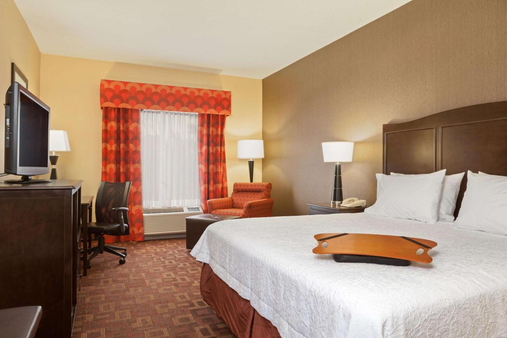 Hampton Inn Elkton photo 11