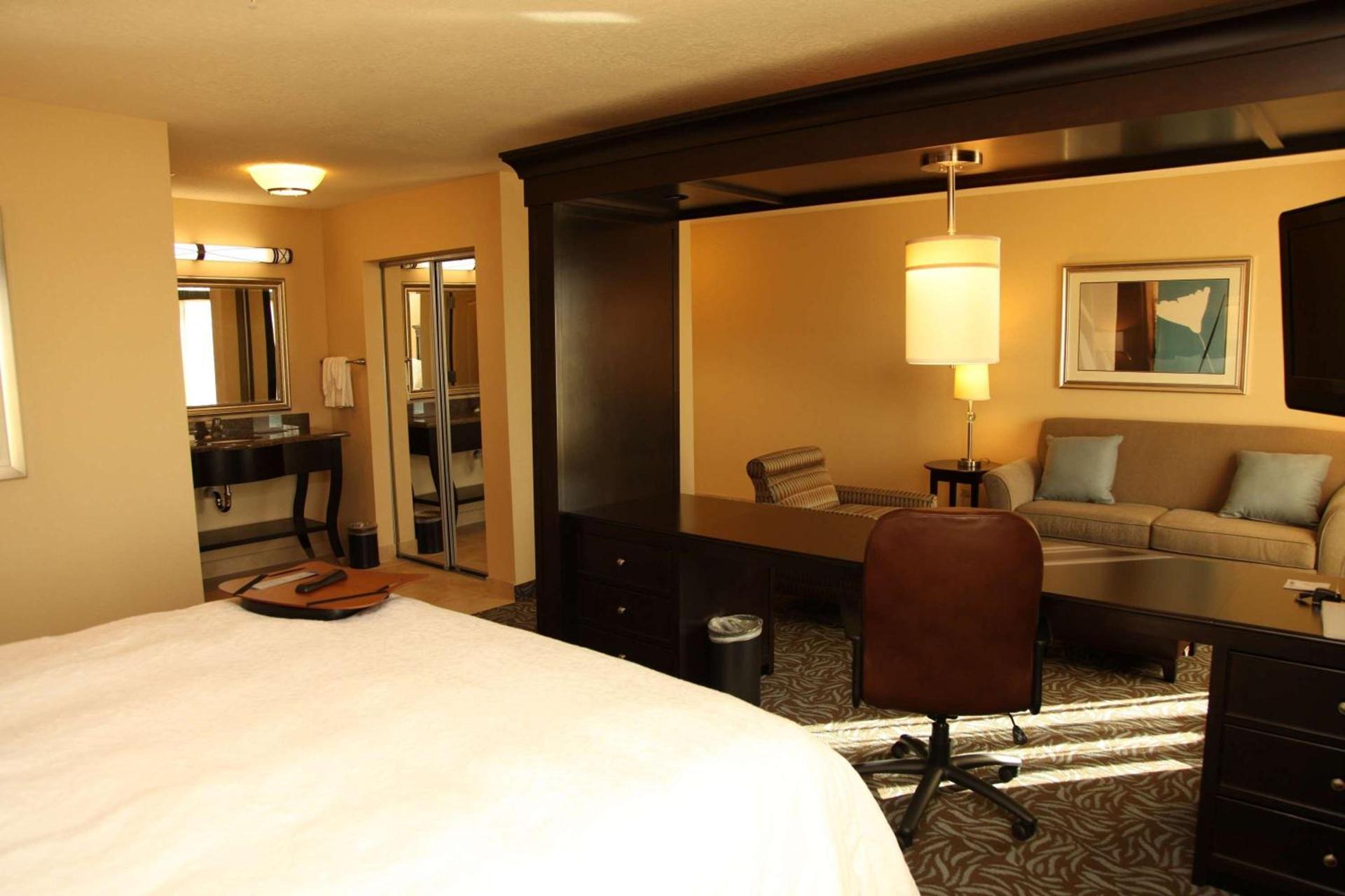 Hampton Inn & Suites Carlsbad photo 14