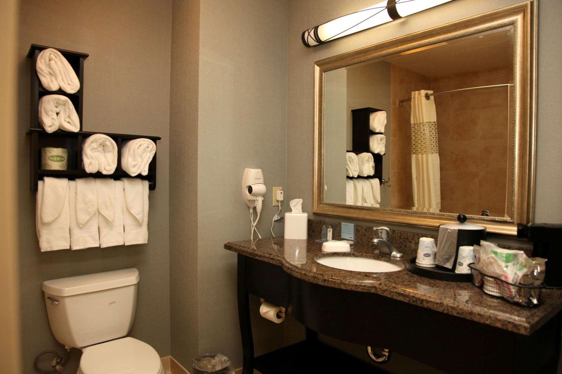 Hampton Inn & Suites Carlsbad photo 17