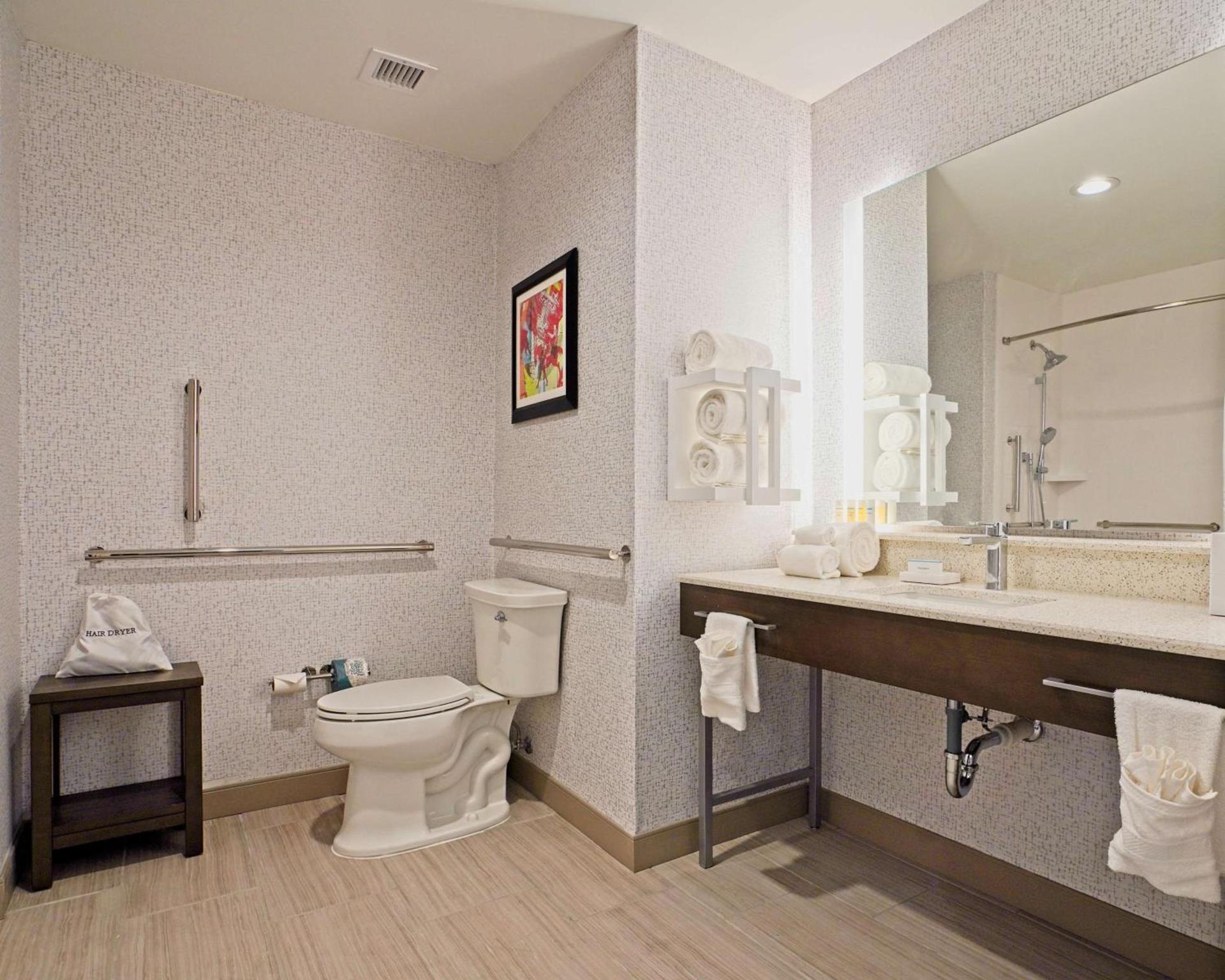 Hampton Inn & Suites Lubbock University, Tx photo 14