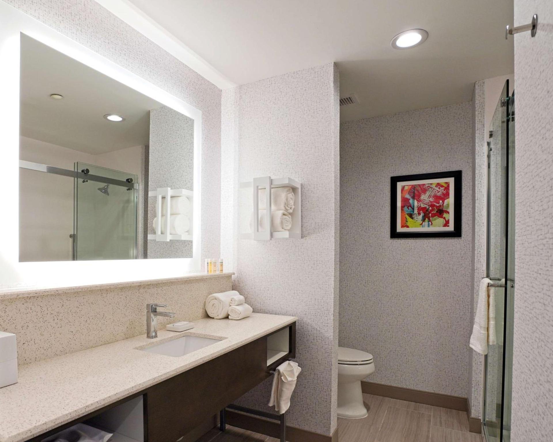 Hampton Inn & Suites Lubbock University, Tx photo 16