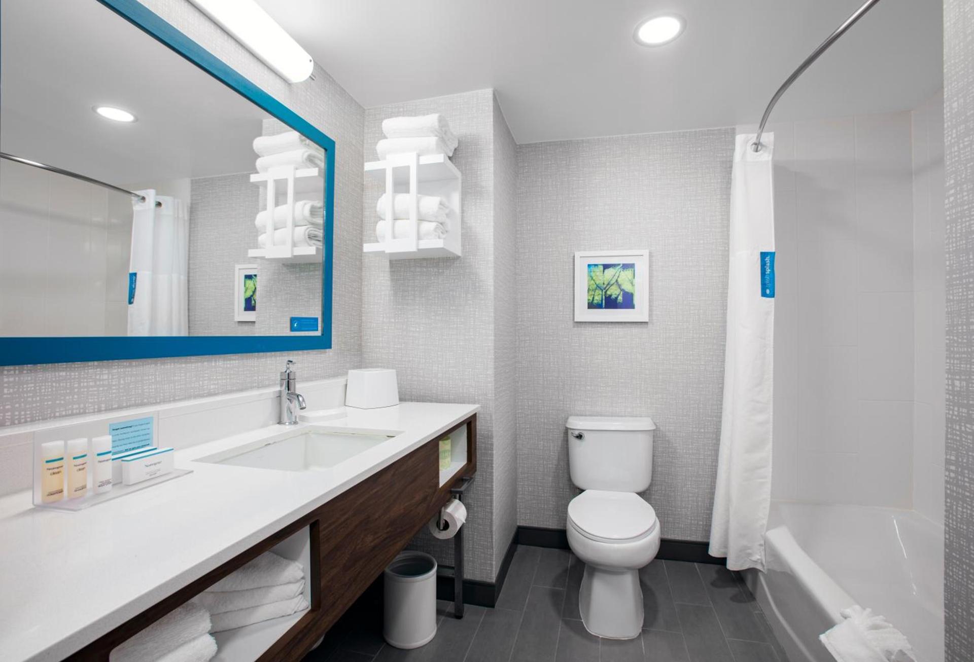 Hampton Inn Lake Buena Vista / Orlando photo 19
