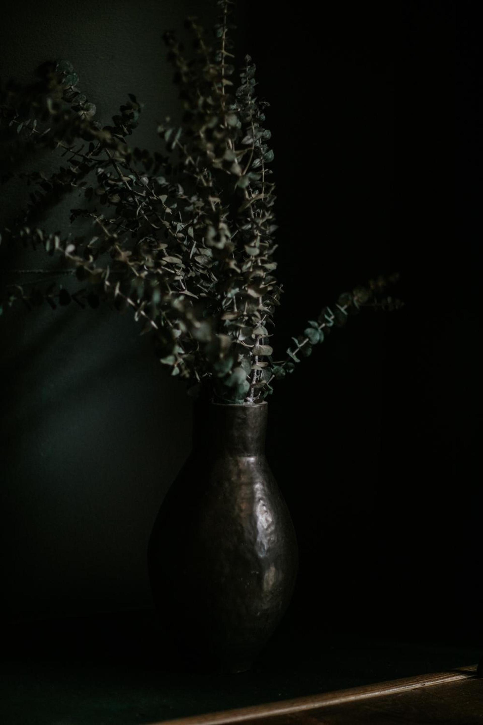 The Leeway photo 43