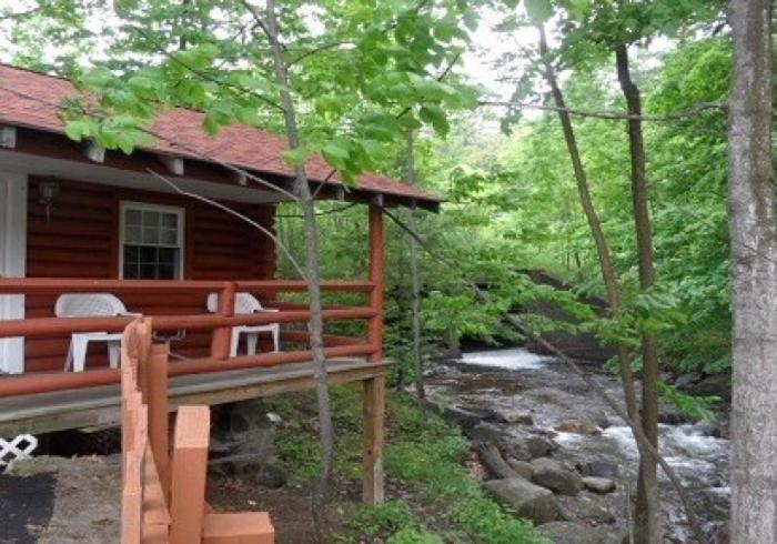 Seven Dwarfs Motel & Cabins photo 6