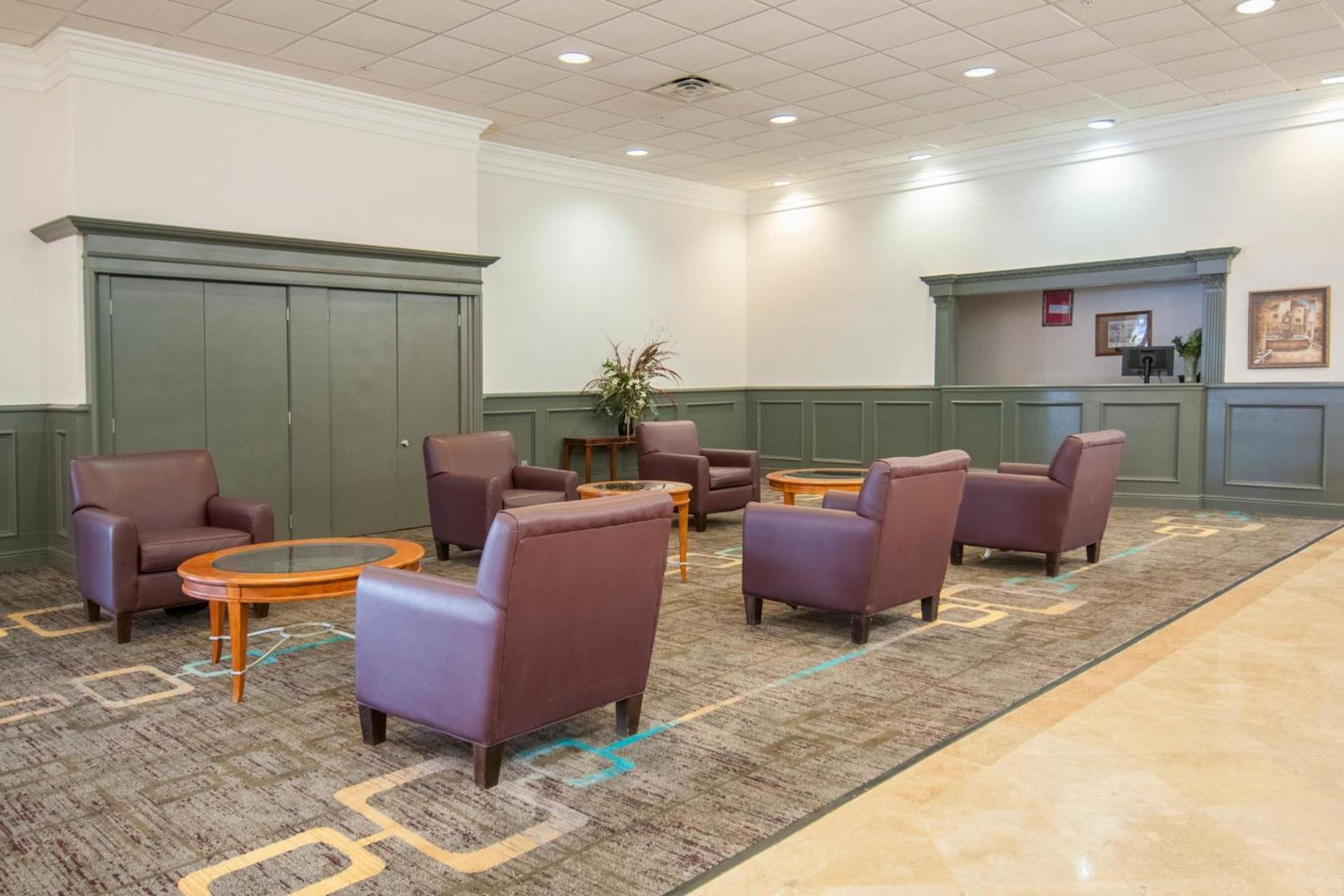 Four Points by Sheraton Alexandria photo 42