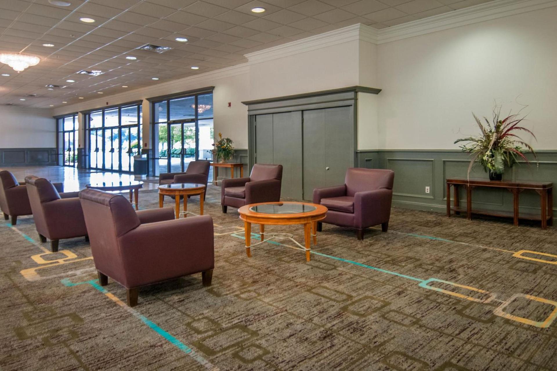 Four Points by Sheraton Alexandria photo 44