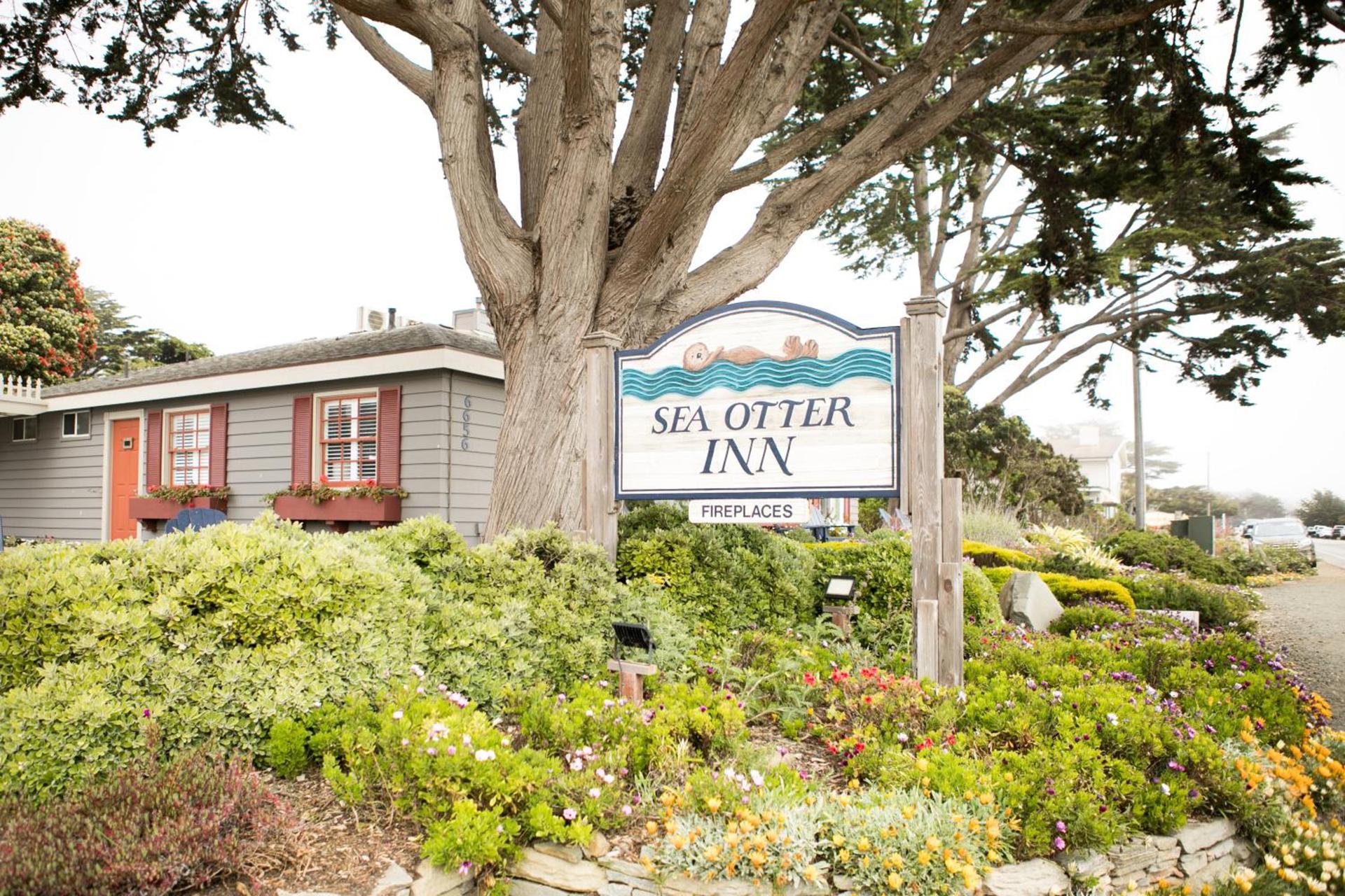 Sea Otter Inn photo 22