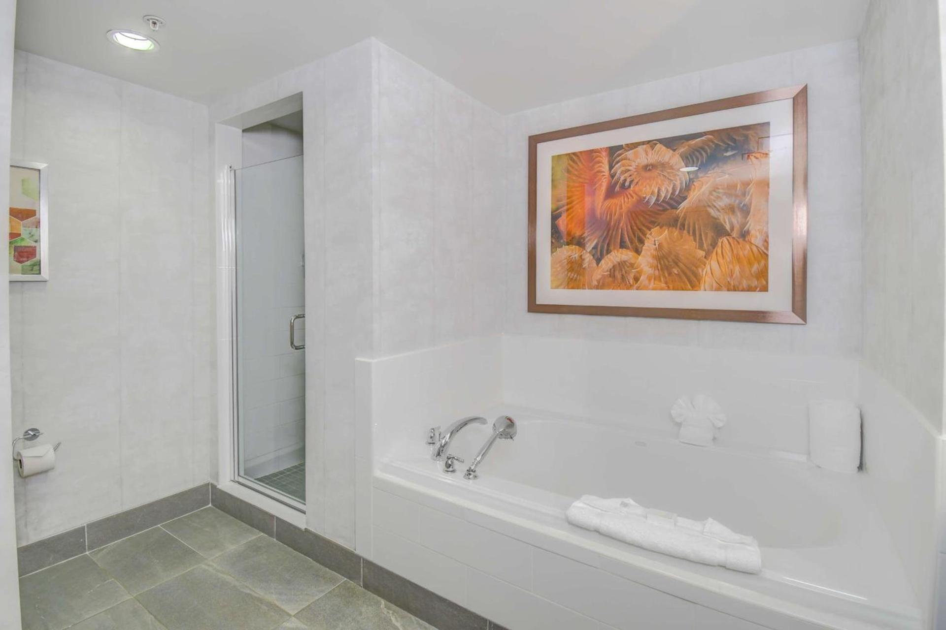 Hilton Garden Inn Palm Beach Gardens photo 53