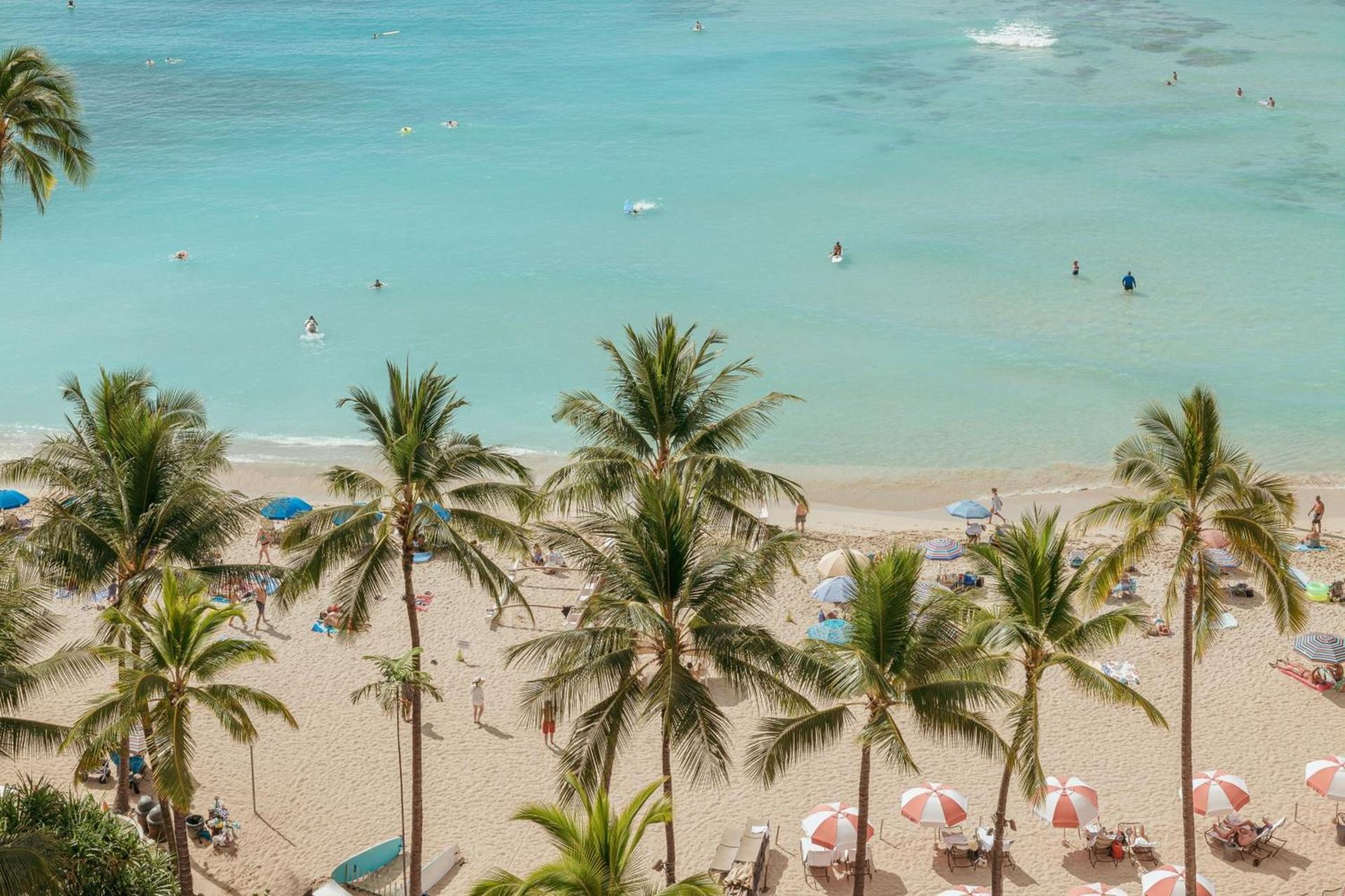 The Royal Hawaiian, A Luxury Collection Resort, Waikiki photo 16