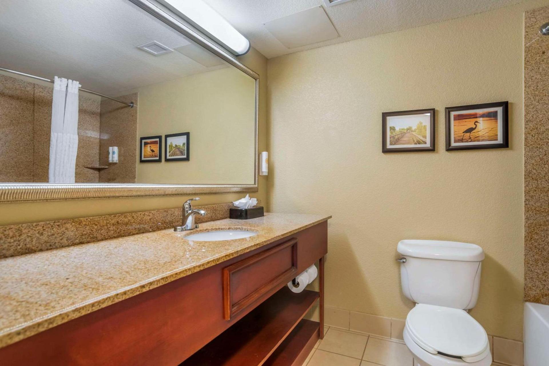 Comfort Inn & Suites Daphne Spanish Fort - Mobile East photo 15