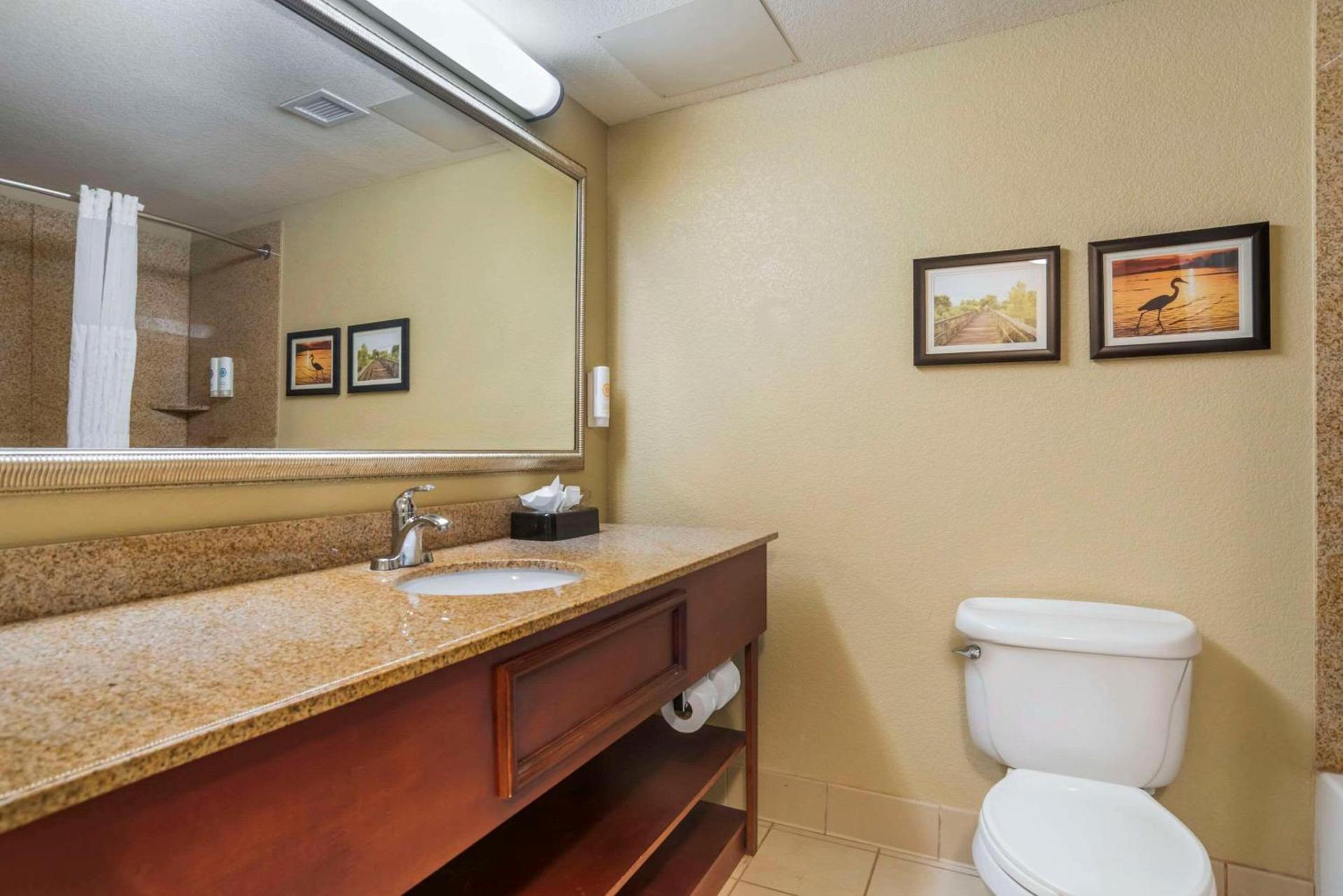 Comfort Inn & Suites Daphne Spanish Fort - Mobile East photo 22