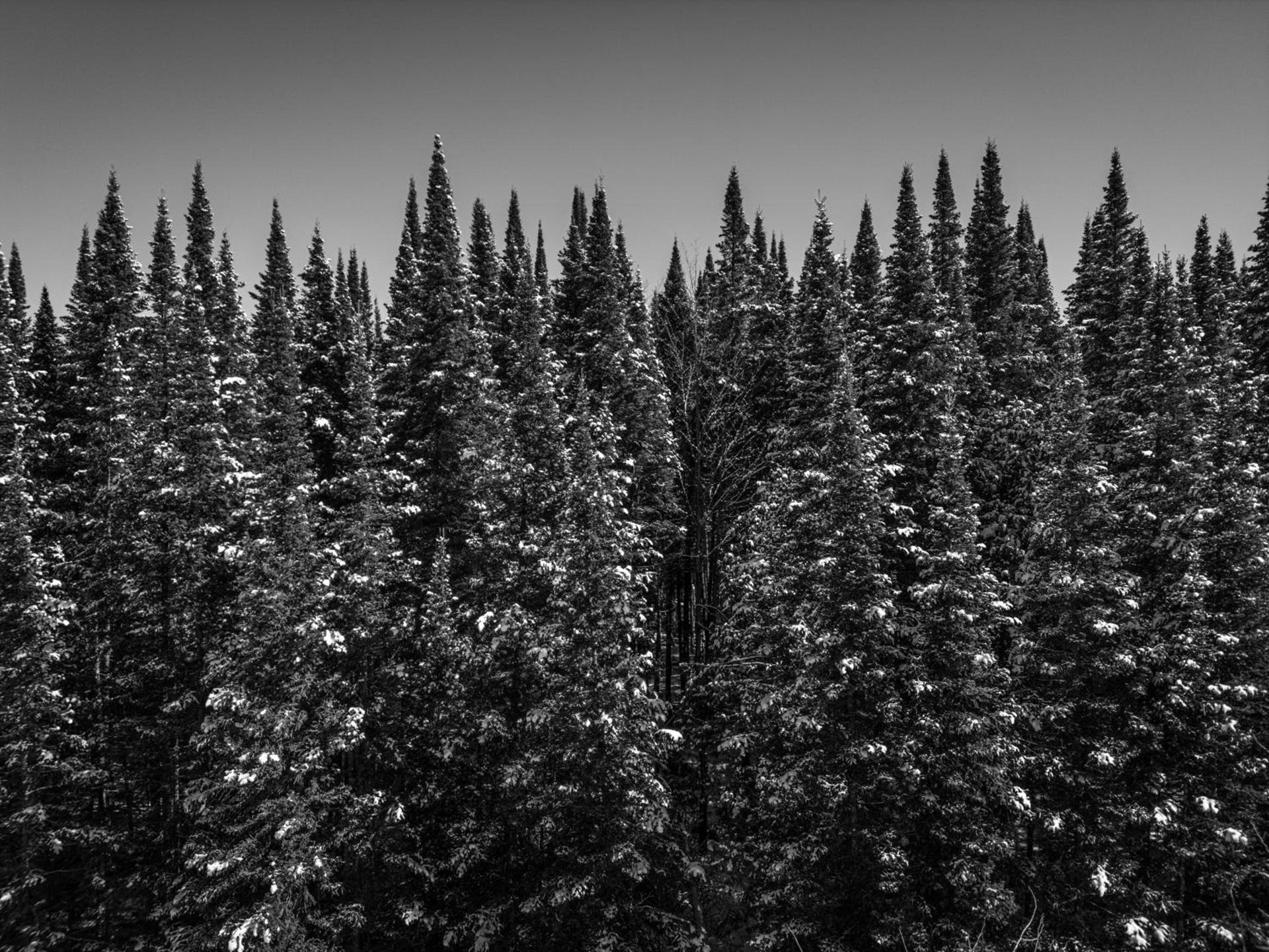 Otsego Resort photo 48