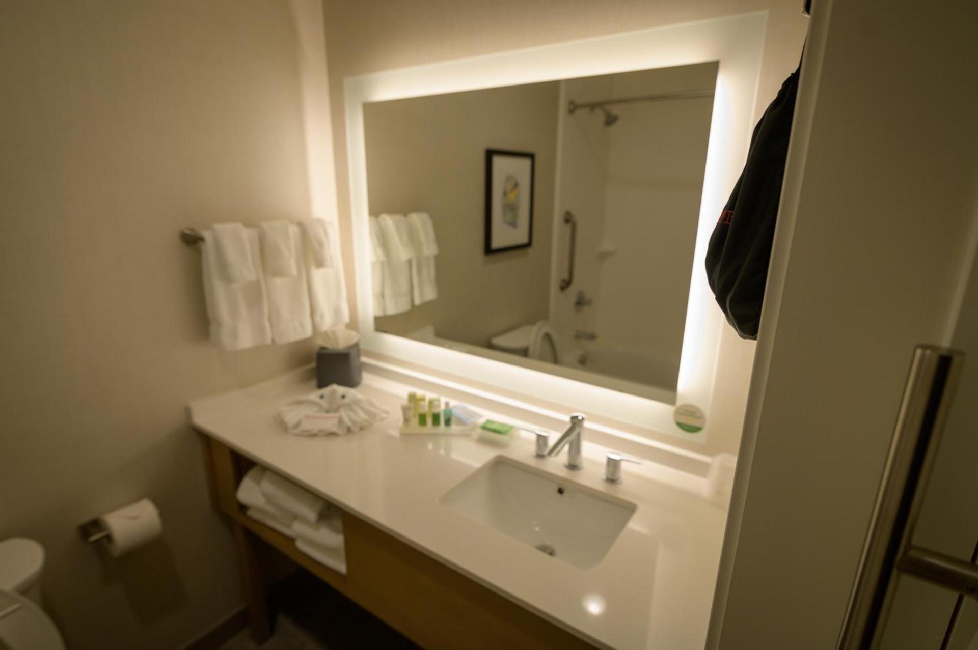 Holiday Inn & Suites Houston NW - Vintage Park Area by IHG photo 16