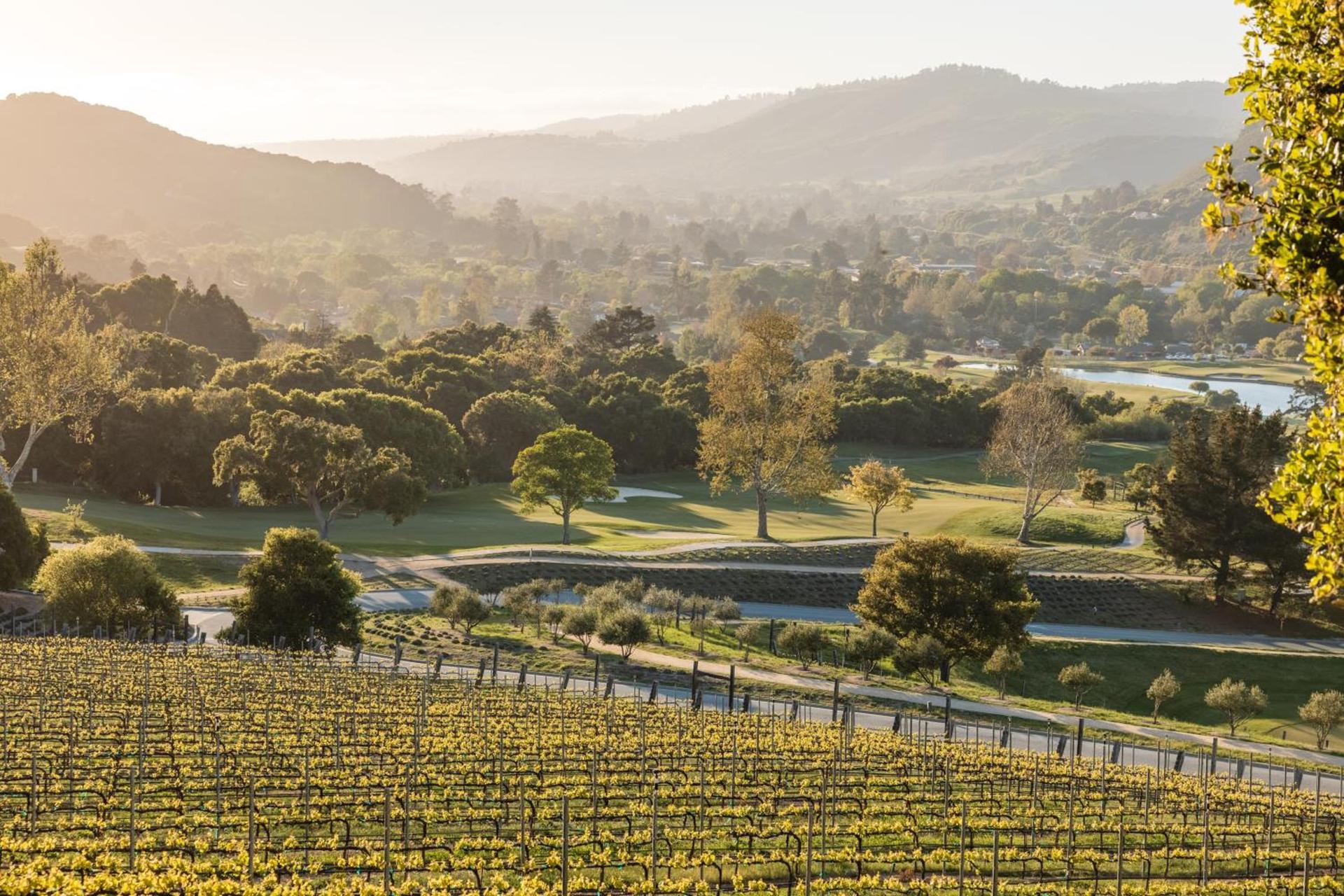 Carmel Valley Ranch, in The Unbound Collection by Hyatt photo 89