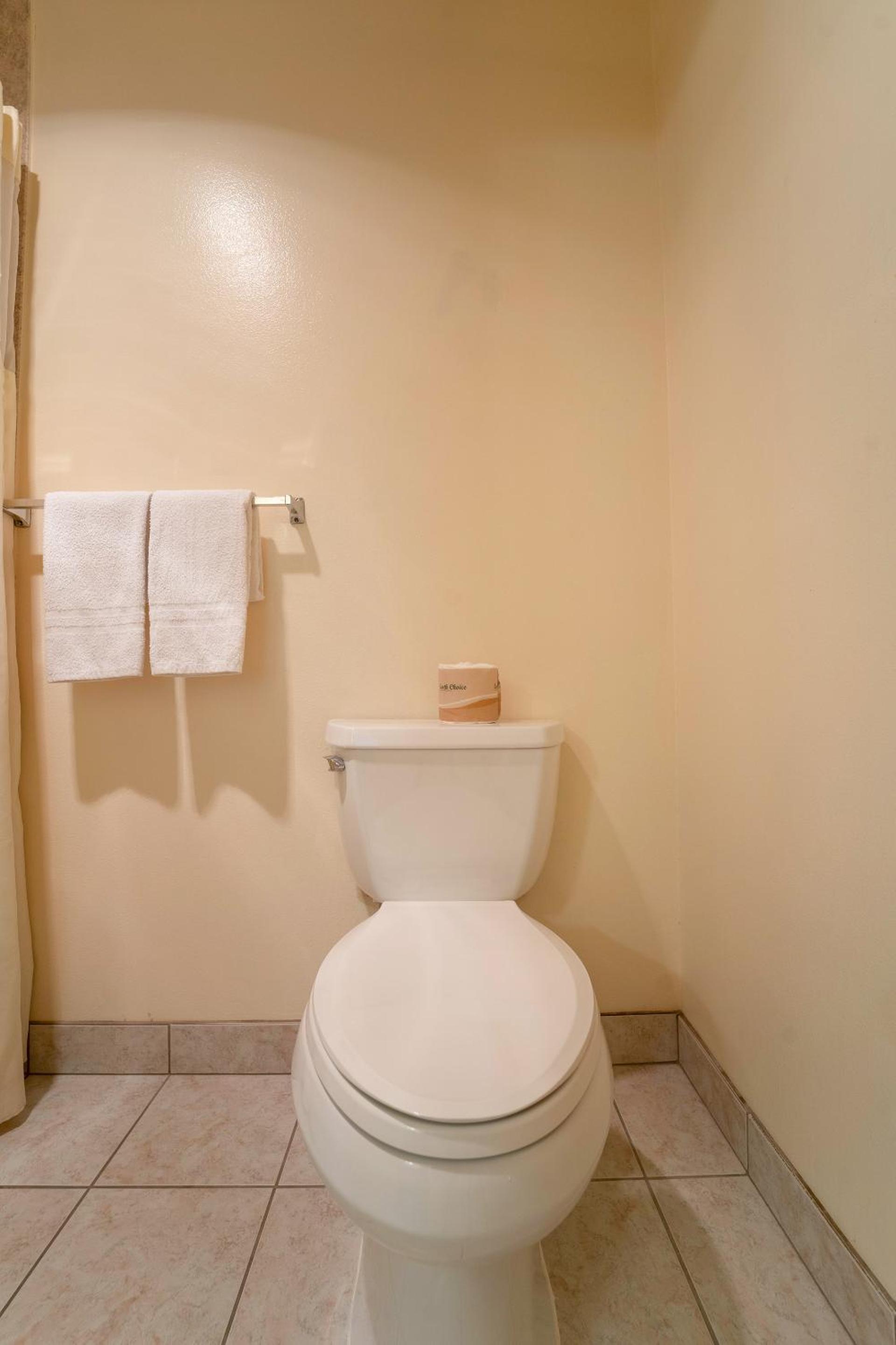 Royal Plaza Inn photo 82