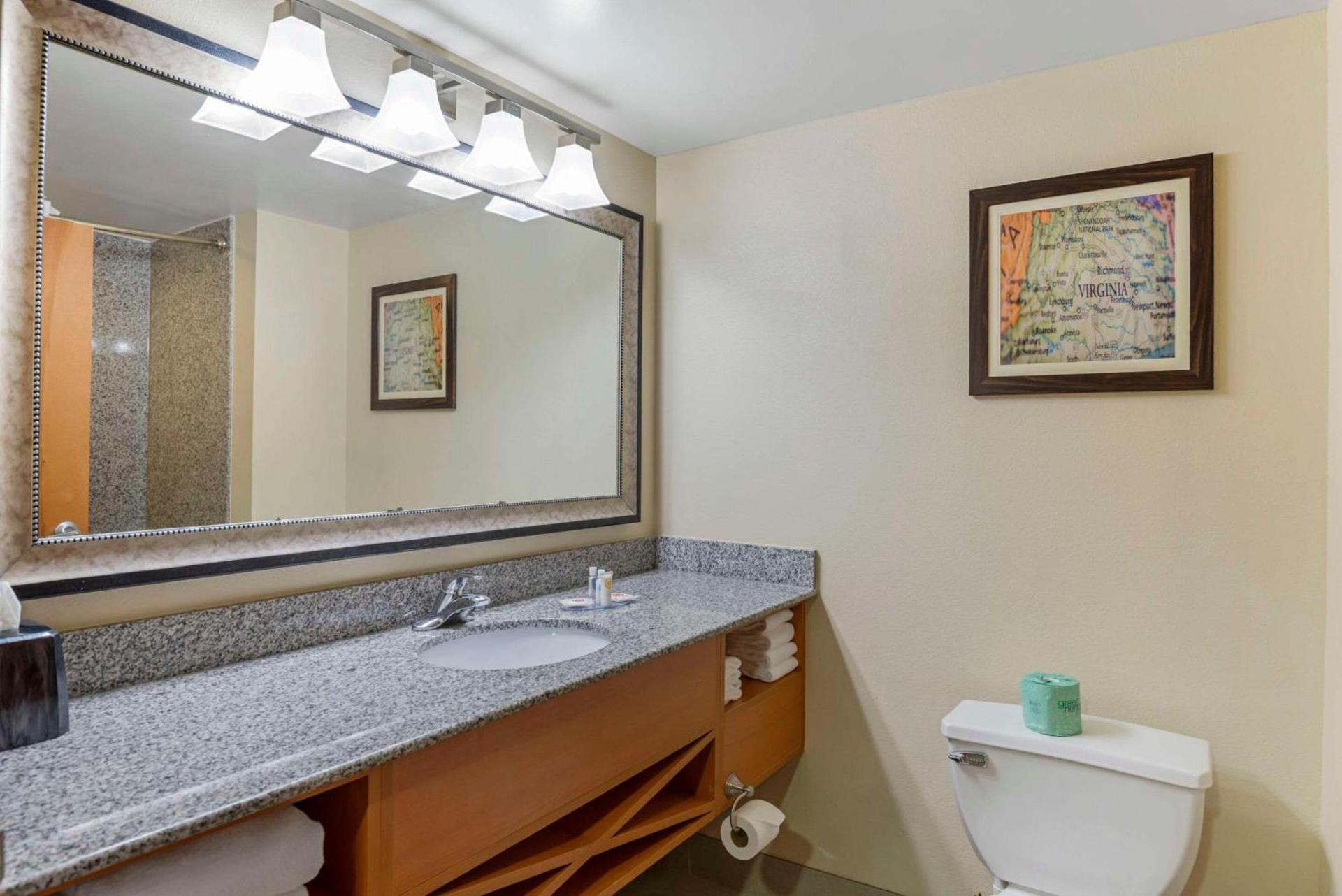 Comfort Suites At Virginia Center Commons photo 11