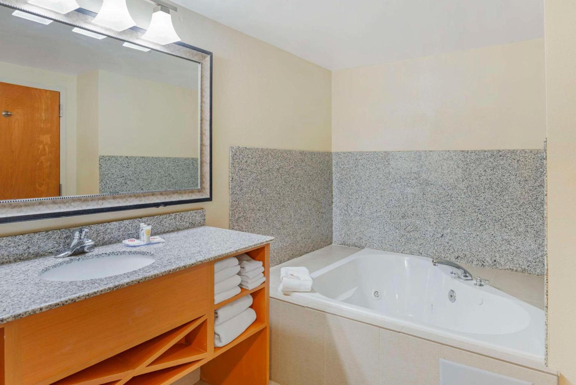 Comfort Suites At Virginia Center Commons photo 12