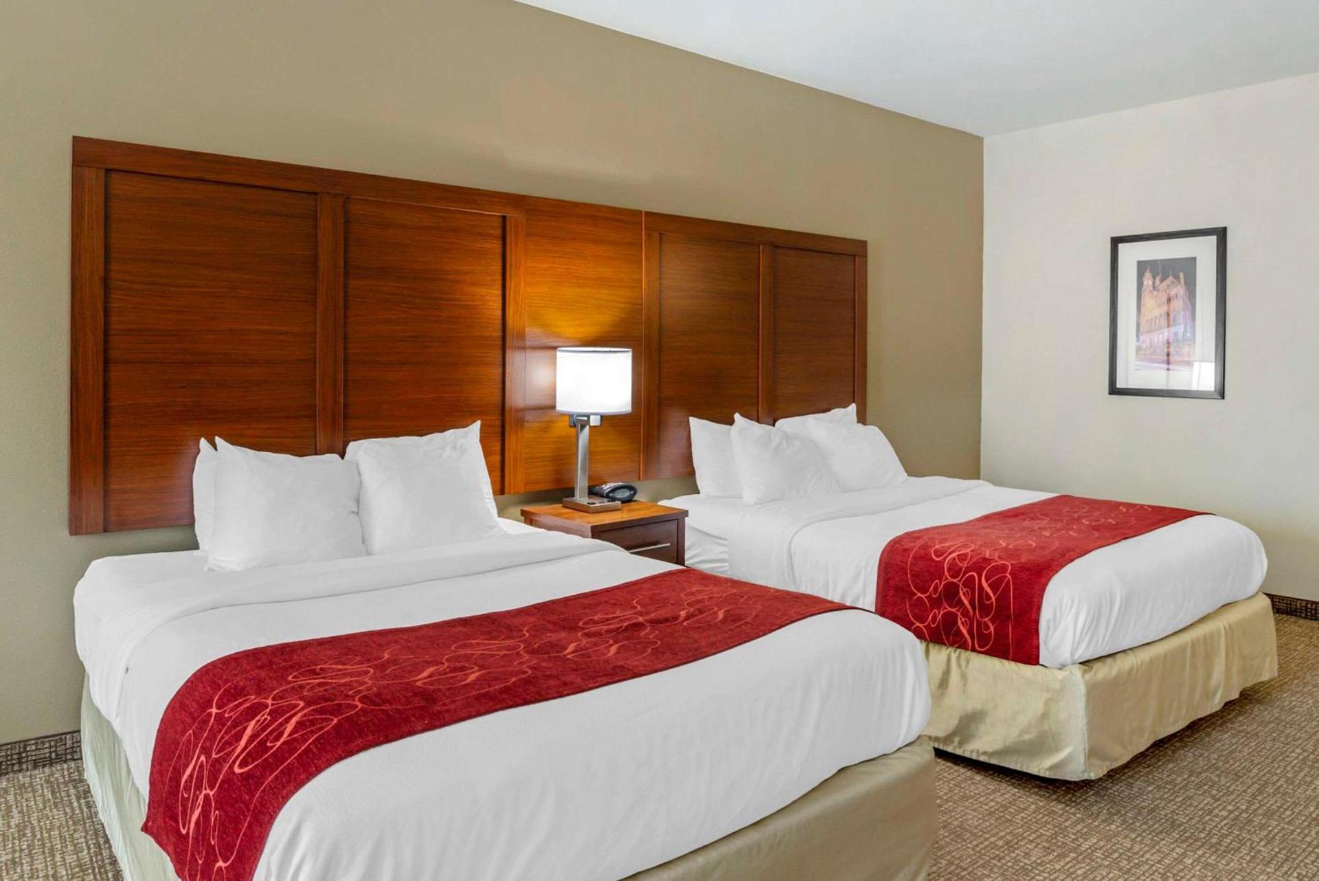Comfort Suites At Virginia Center Commons photo 21