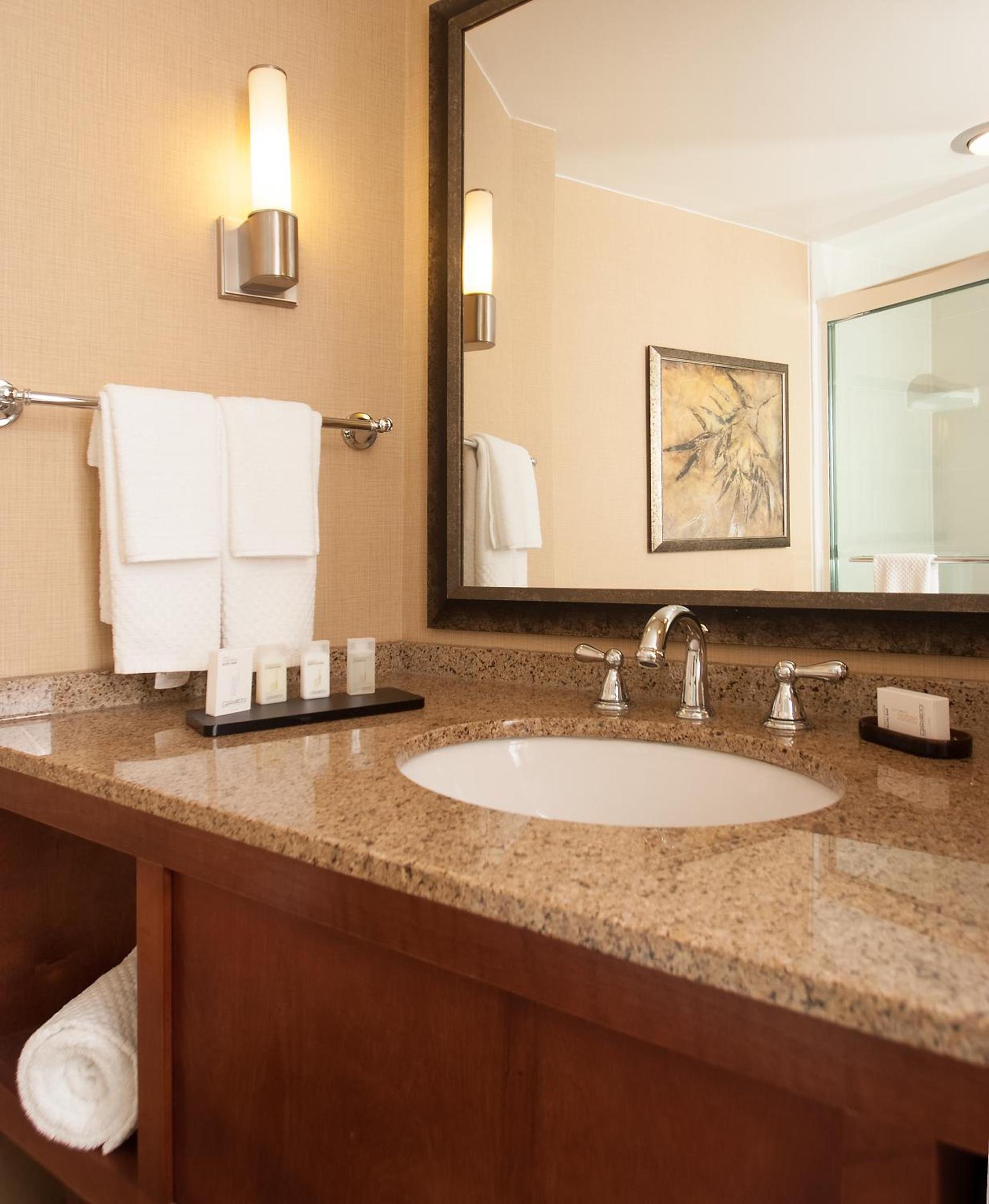 Embassy Suites by Hilton Minneapolis Bloomington Edina photo 58