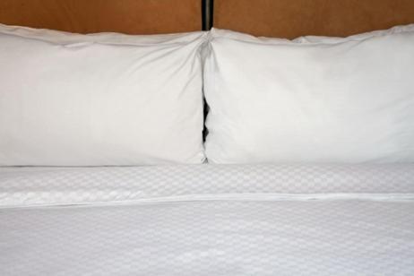 Four Points by Sheraton Buffalo Grove photo 4