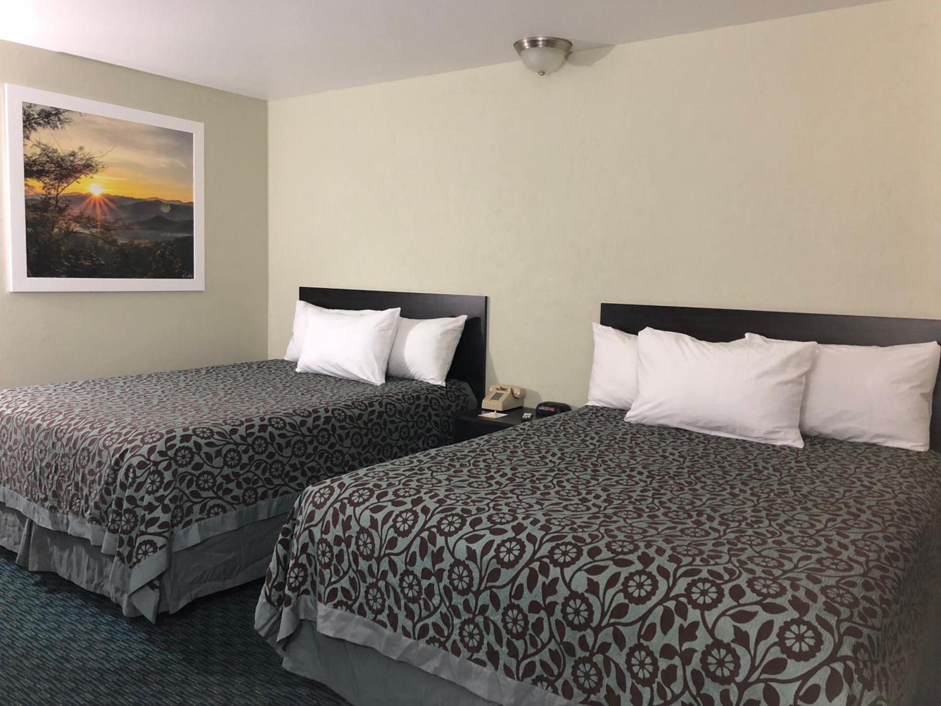 Elevation Lodge photo 14