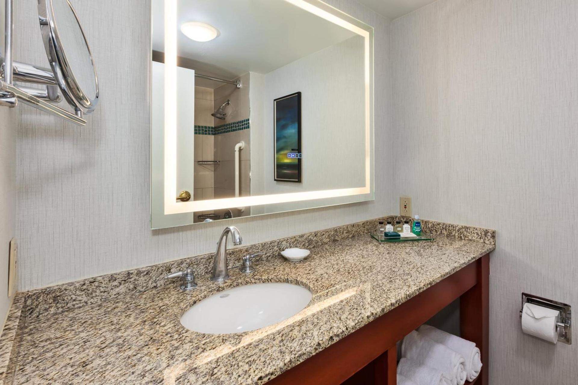 Crowne Plaza Dulles Airport by IHG photo 67