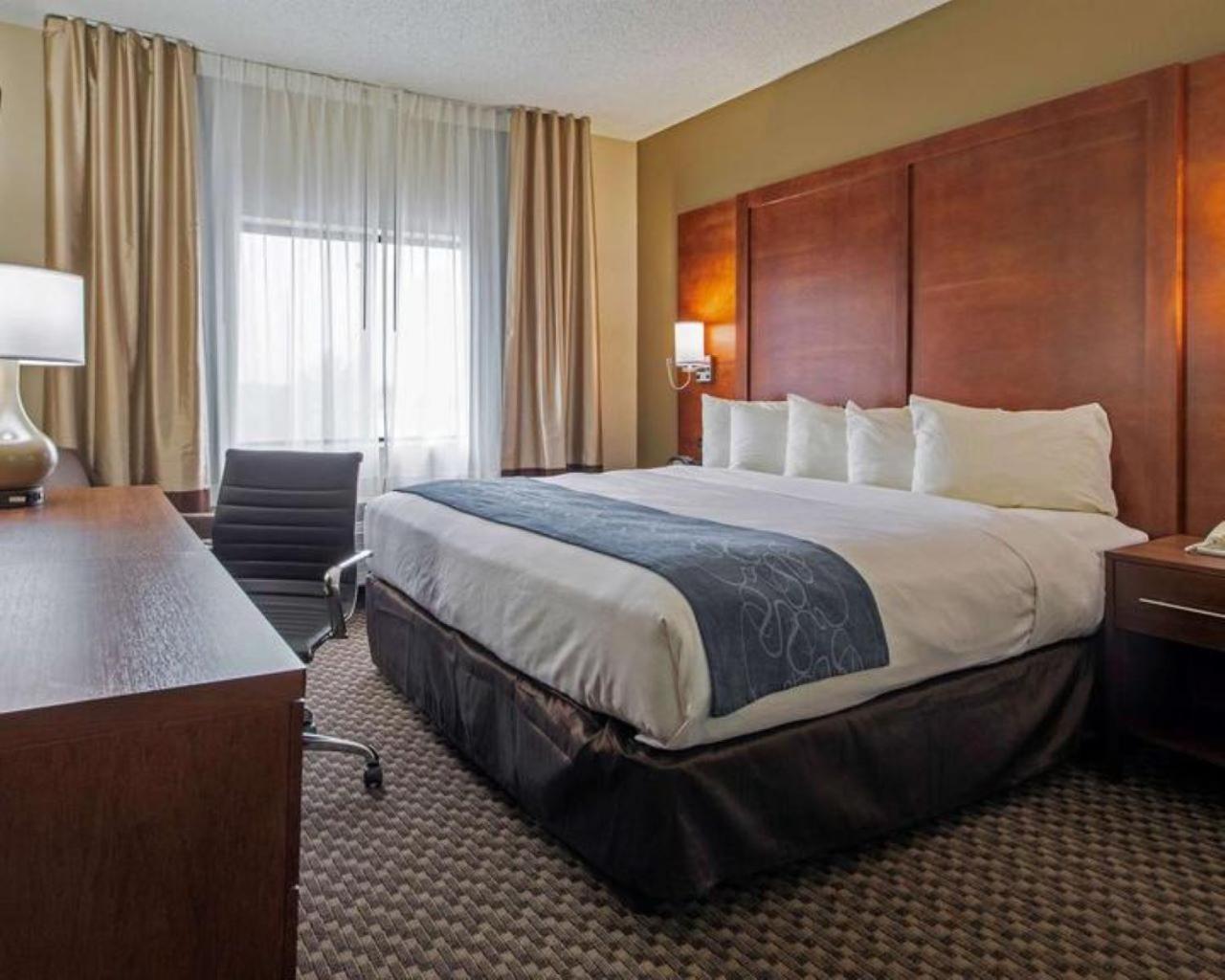 Comfort Inn & Suites Las Cruces Mesilla photo 21