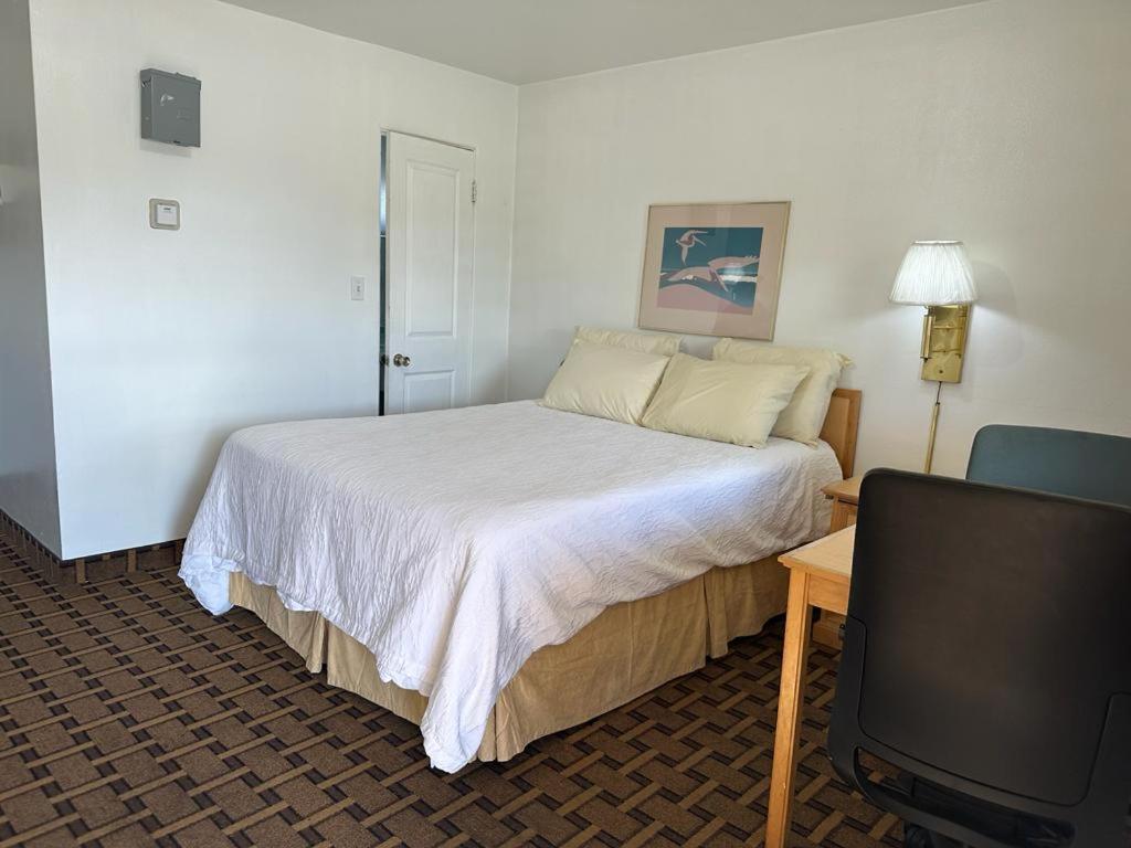 Ski's Western Motel photo 29
