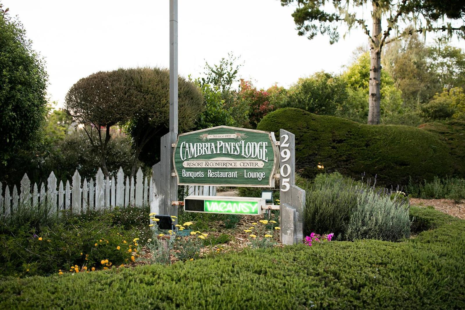 Cambria Pines Lodge photo 11