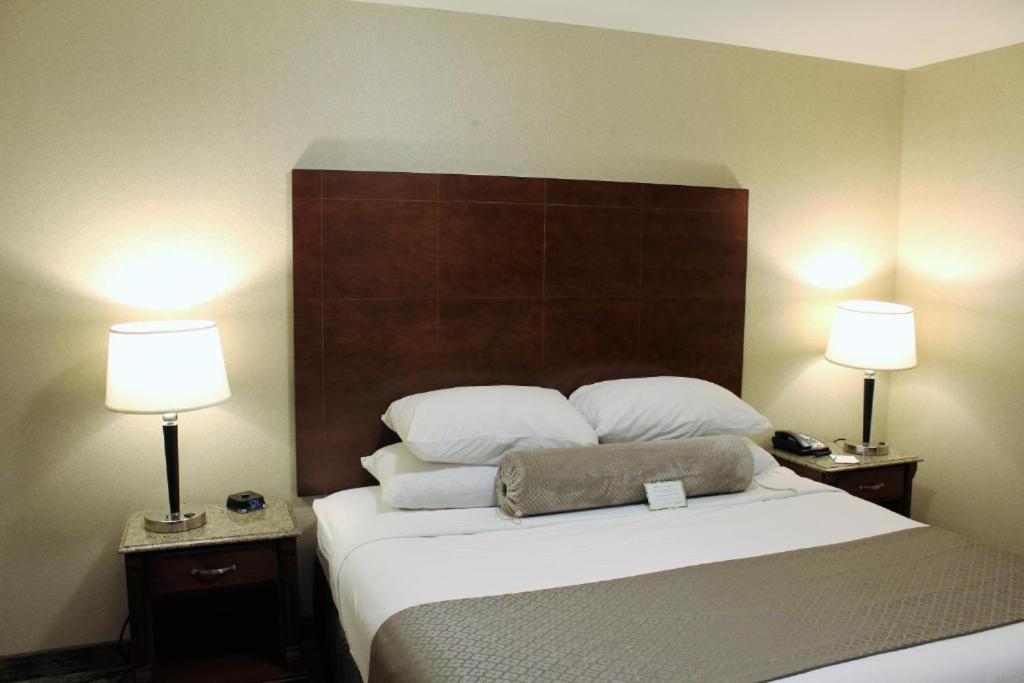Medallion Inn and Suites photo 24
