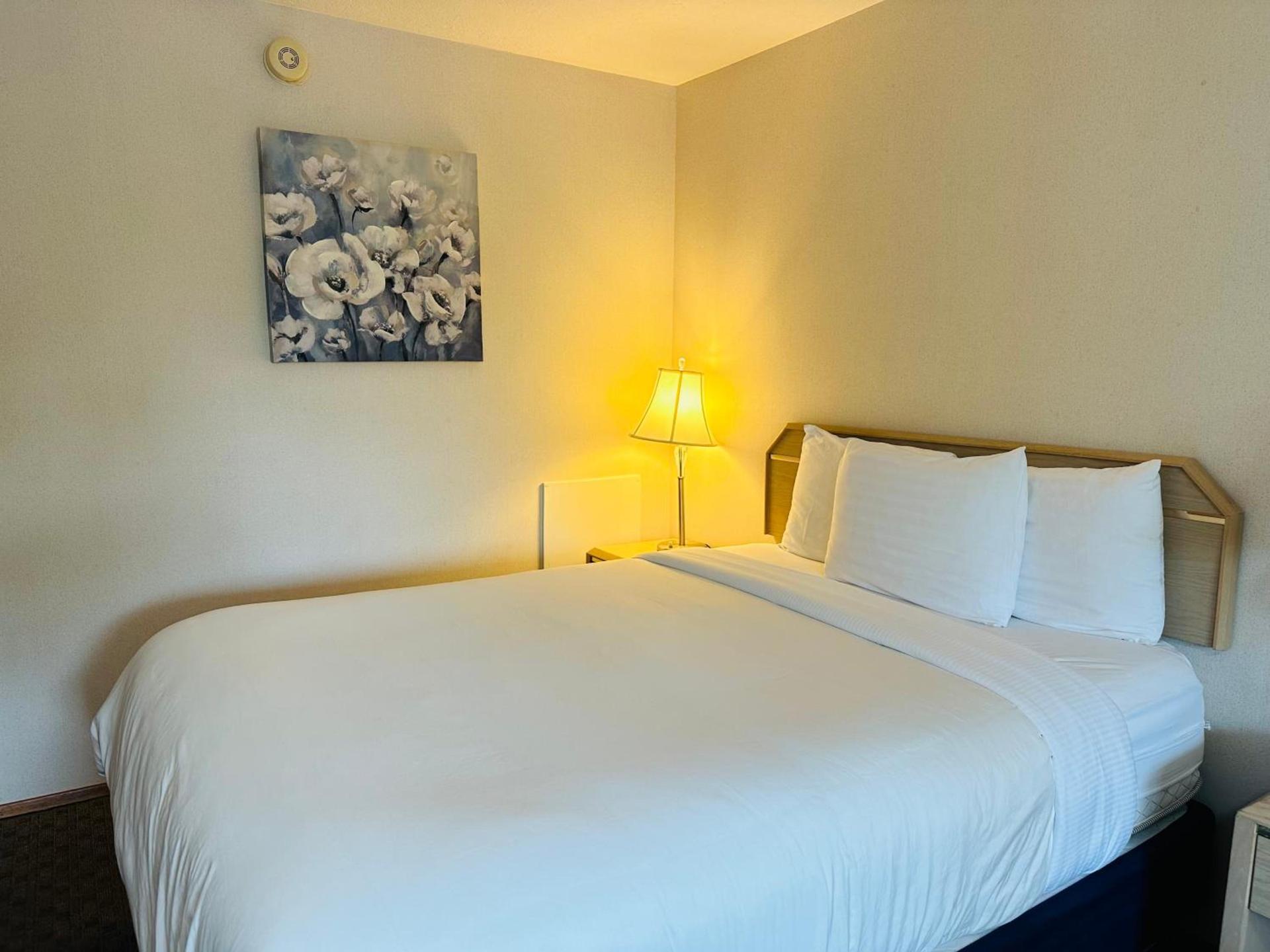 Timberland Inn & Suites photo 22