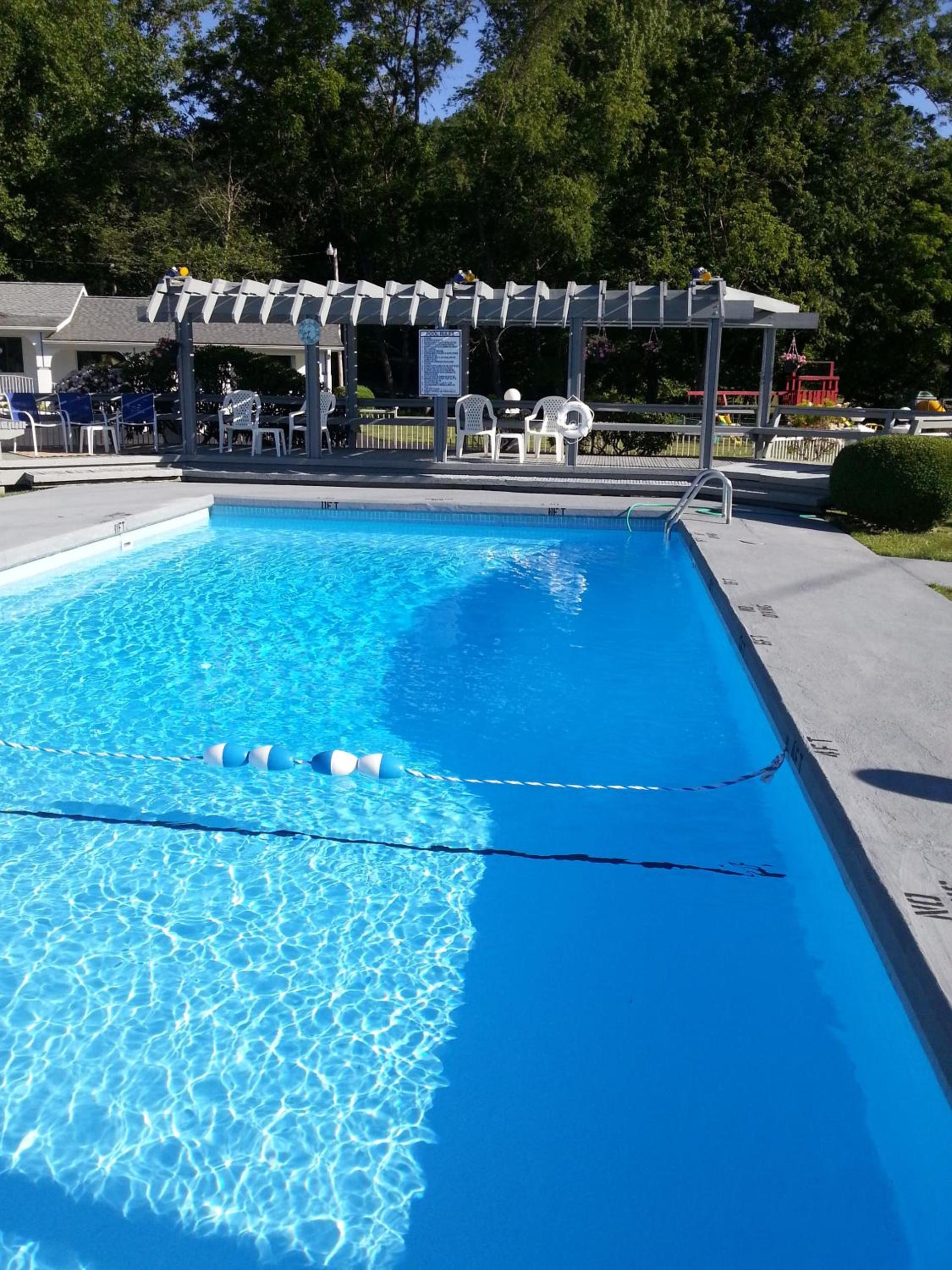 Carolina Motel photo 5