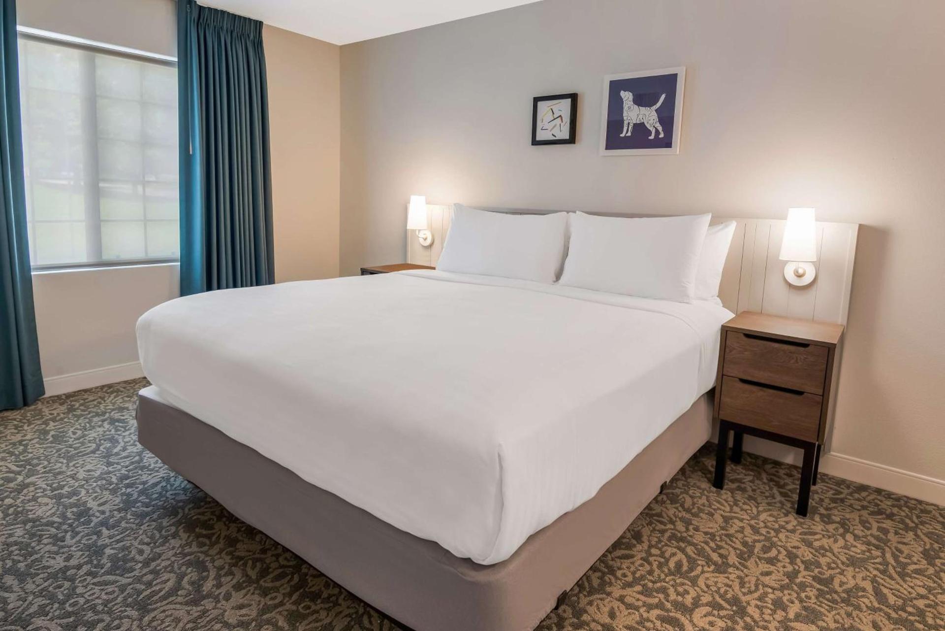 Sonesta ES Suites Andover Boston photo 18