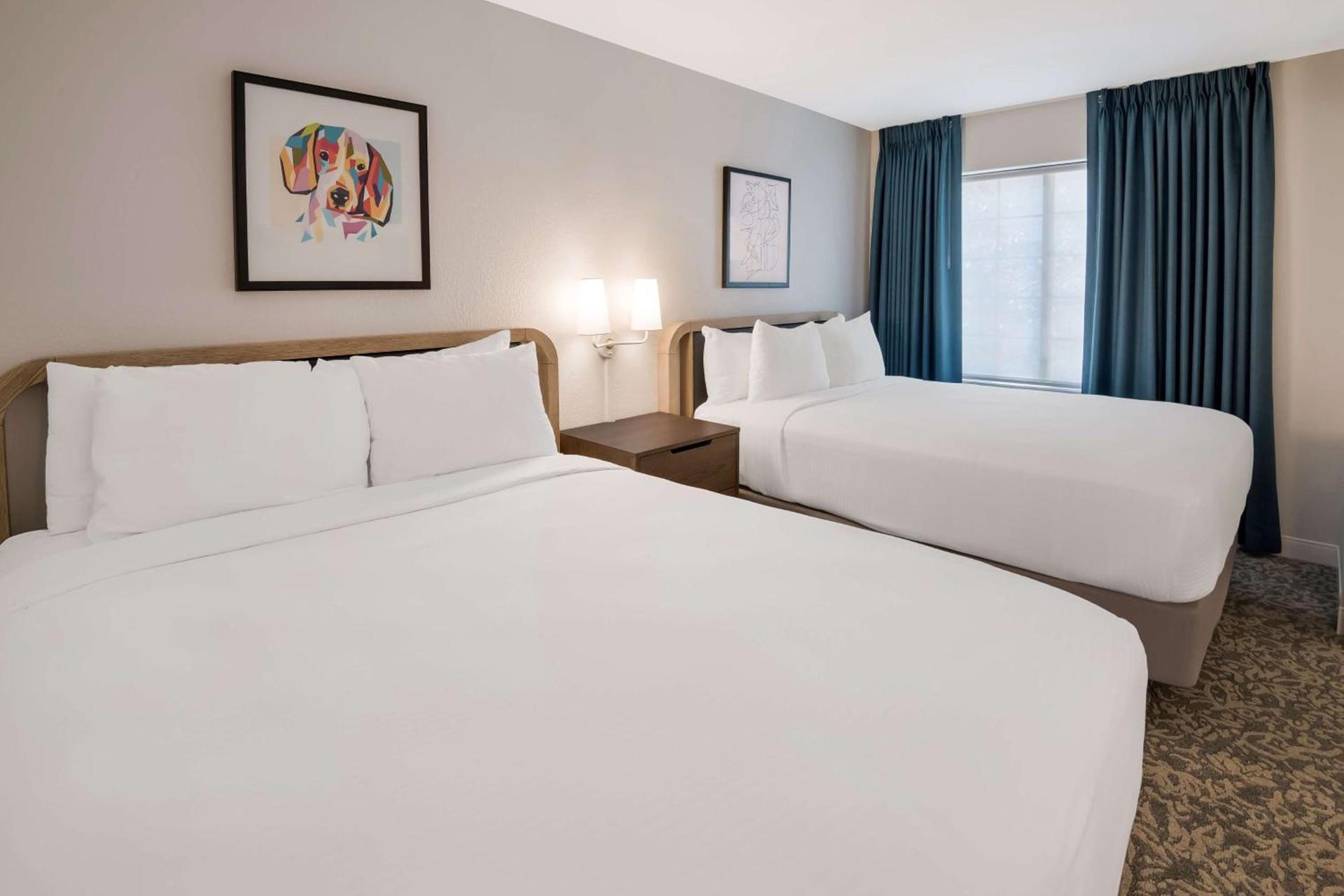 Sonesta ES Suites Andover Boston photo 30