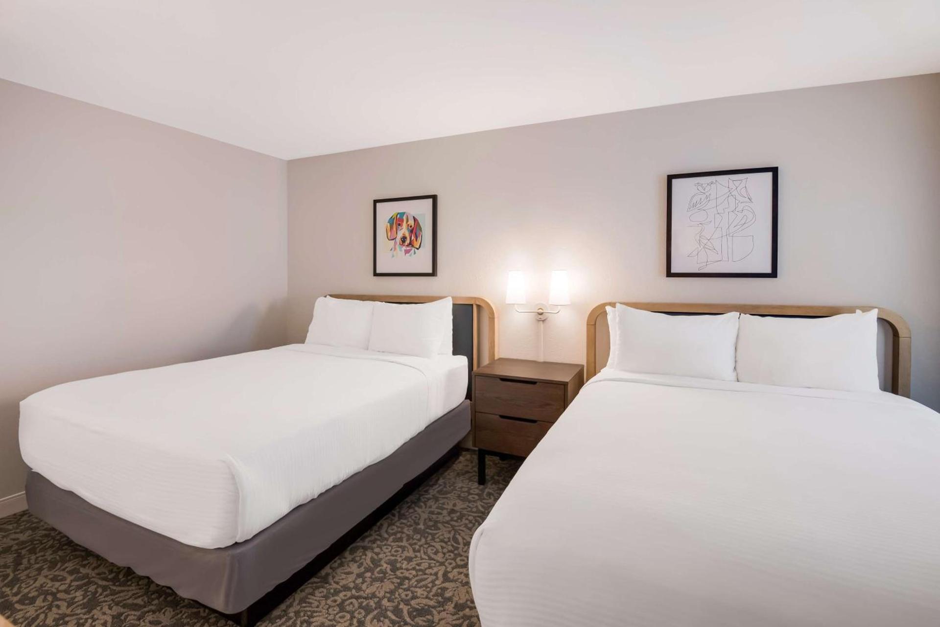 Sonesta ES Suites Andover Boston photo 31