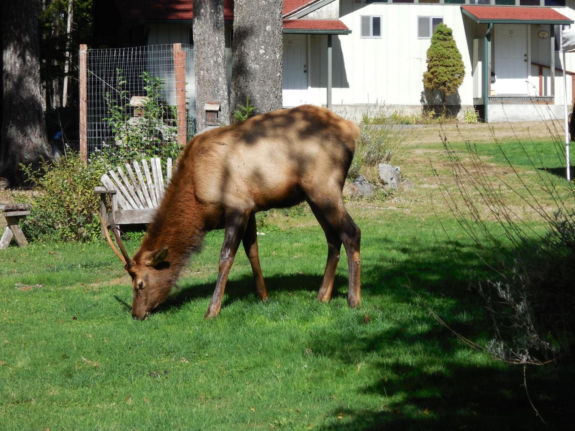 Mountain View Lodge - No Pets allowed photo 12
