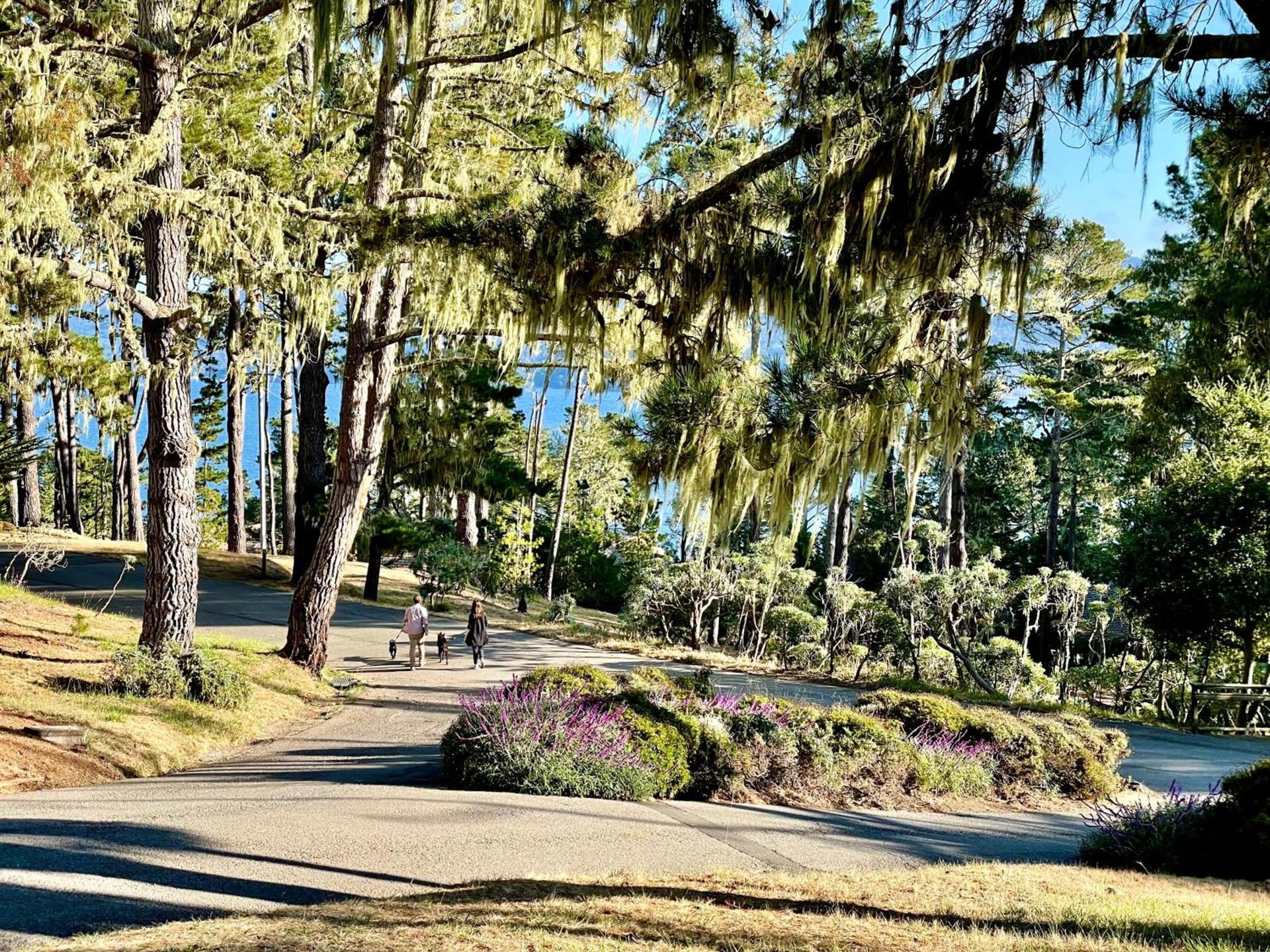 Lodge At Marconi photo 62