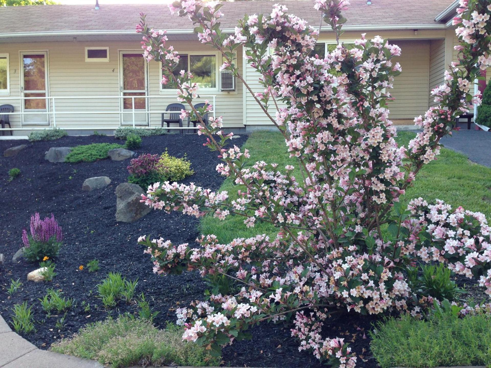 Northeaster Motel photo 31