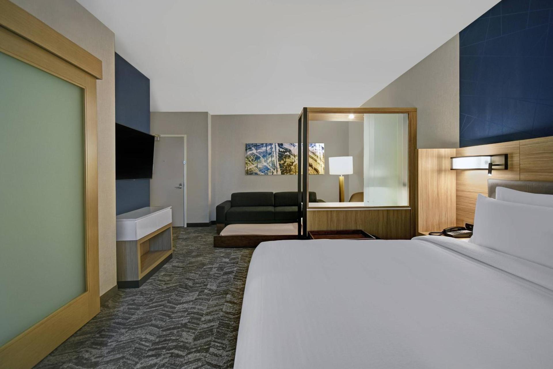 SpringHill Suites by Marriott St. Paul Arden Hills photo 14