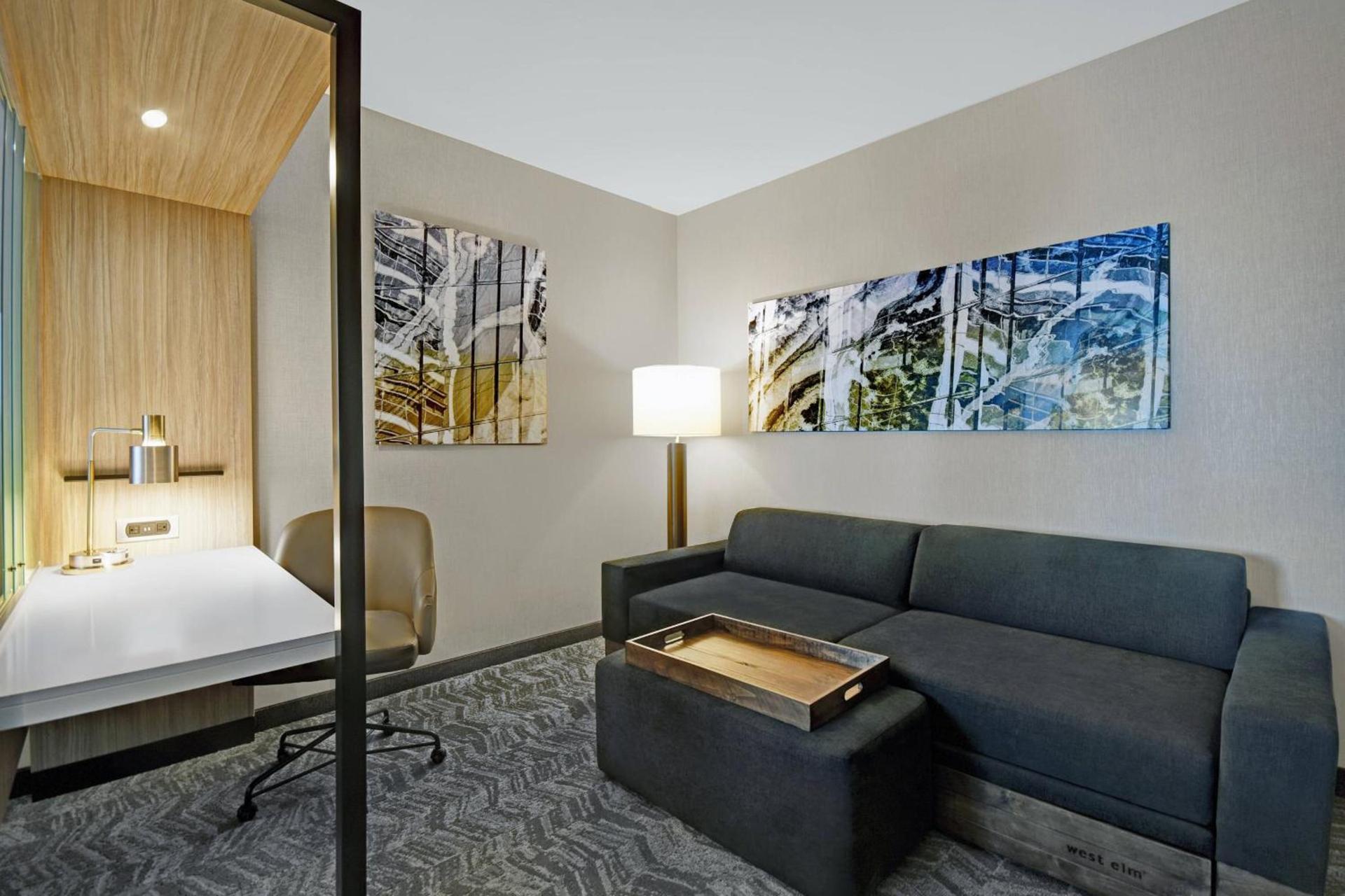 SpringHill Suites by Marriott St. Paul Arden Hills photo 18
