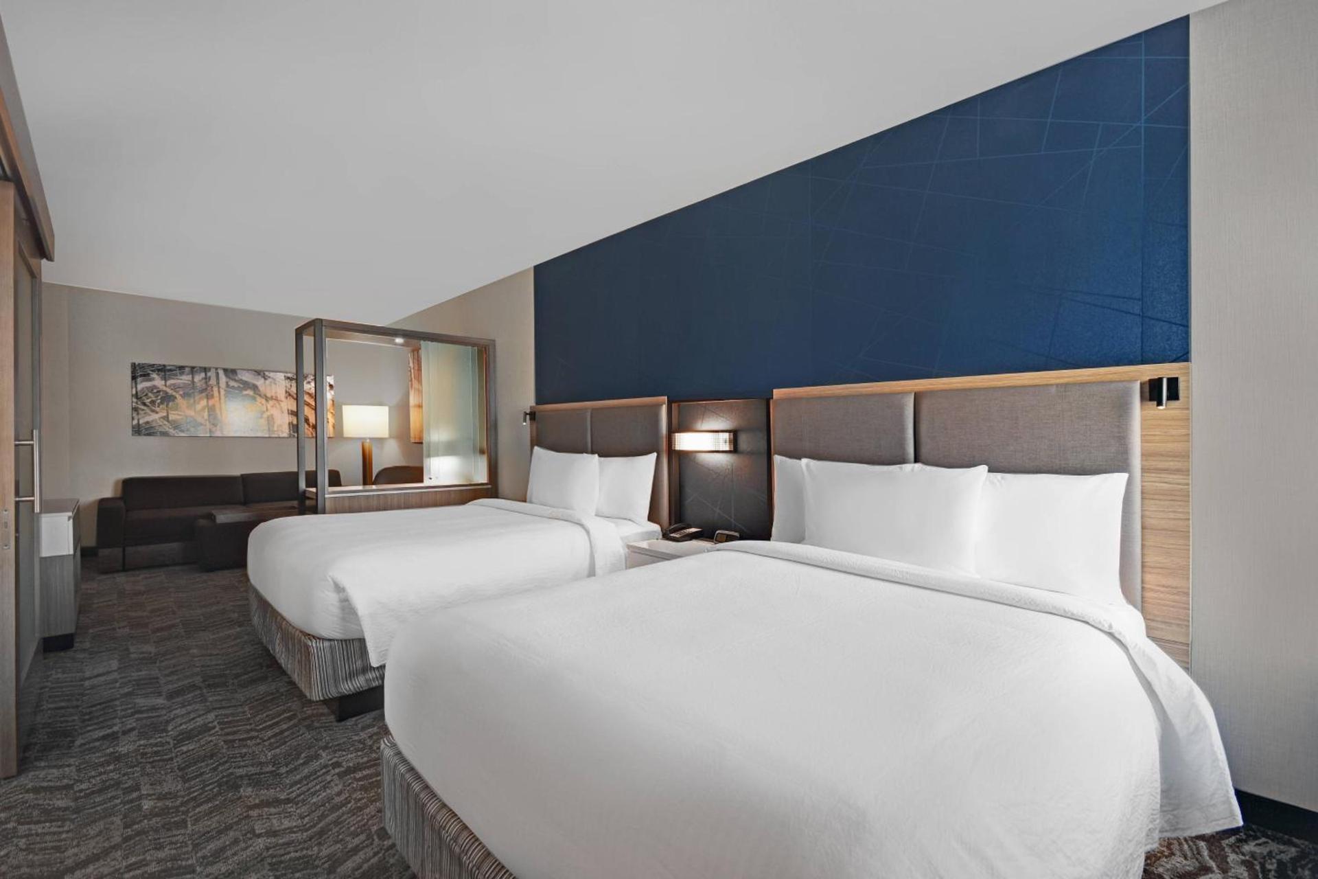 SpringHill Suites by Marriott St. Paul Arden Hills photo 10