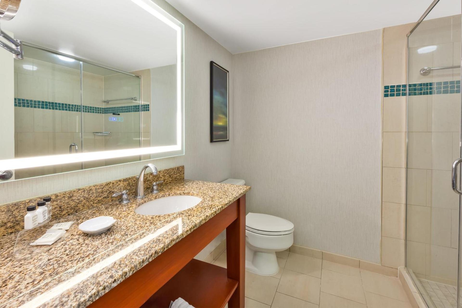 Crowne Plaza Dulles Airport by IHG photo 64