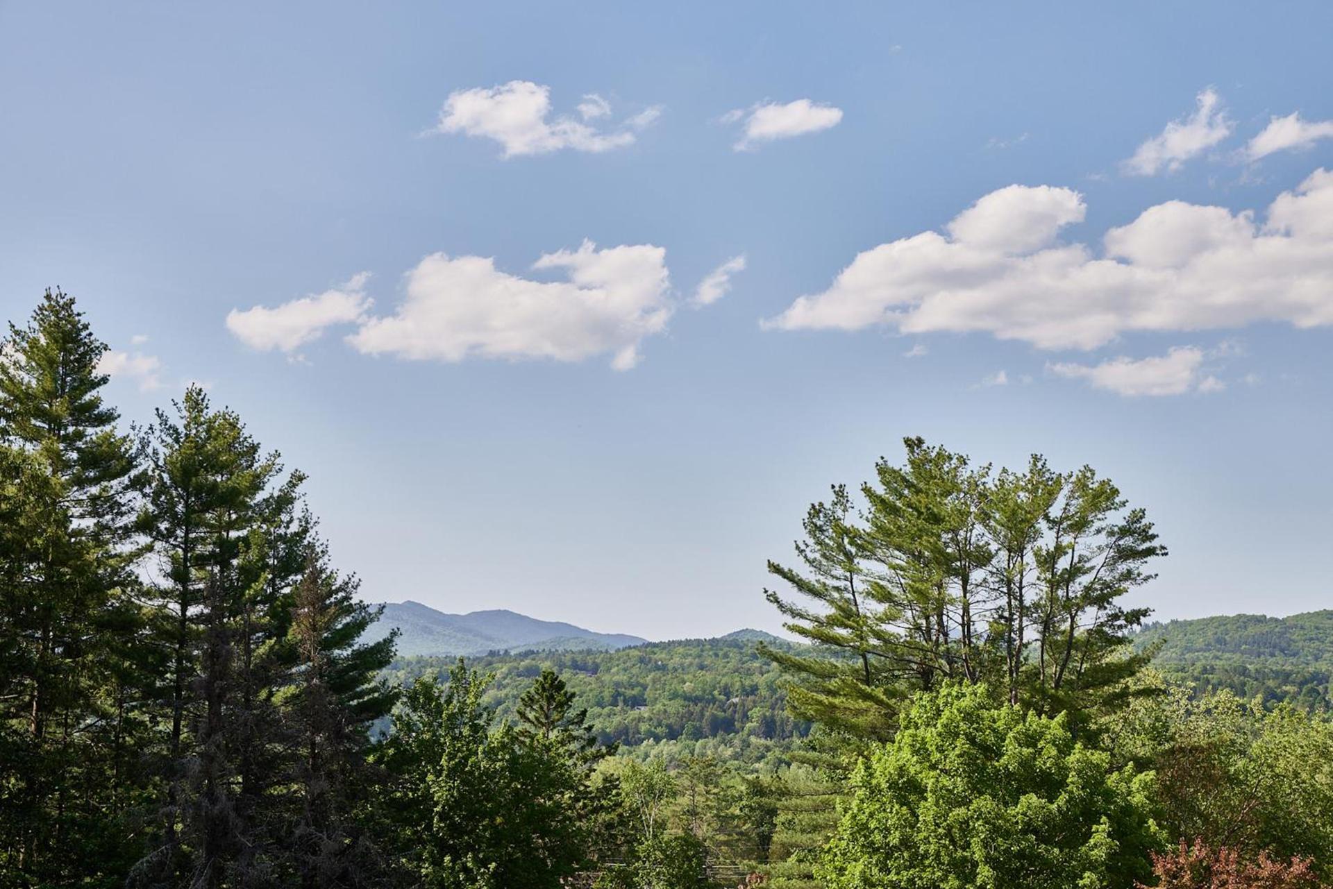 Bluebird Cady Hill Lodge photo 3